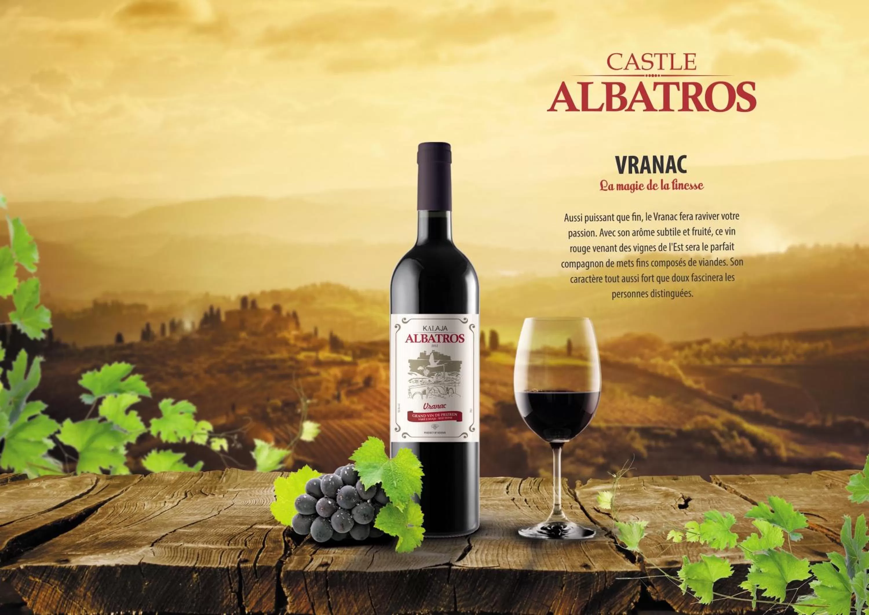 Alcoholic drinks in Hotel Albatros