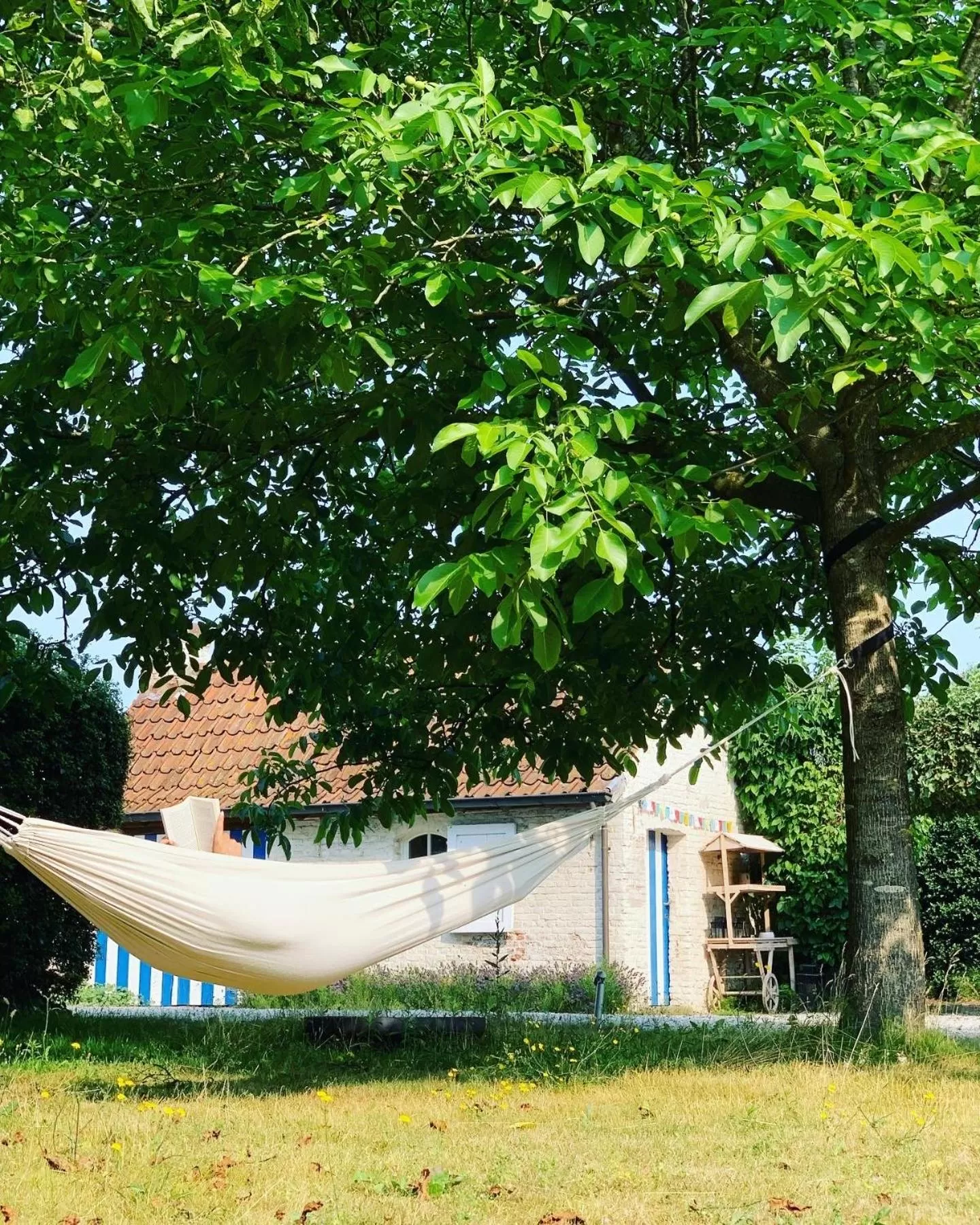 Garden in Hamiora wellness B&B