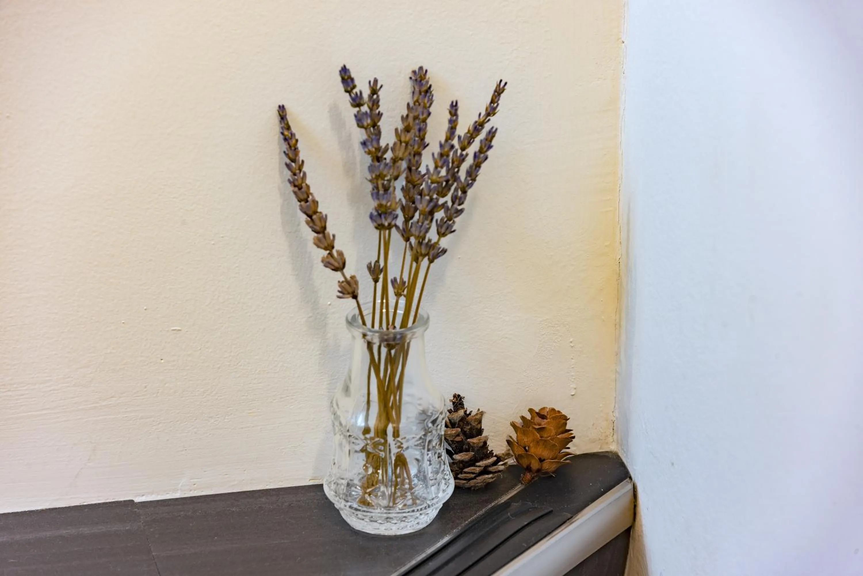 Decorative detail in plat hostel keikyu sapporo sky