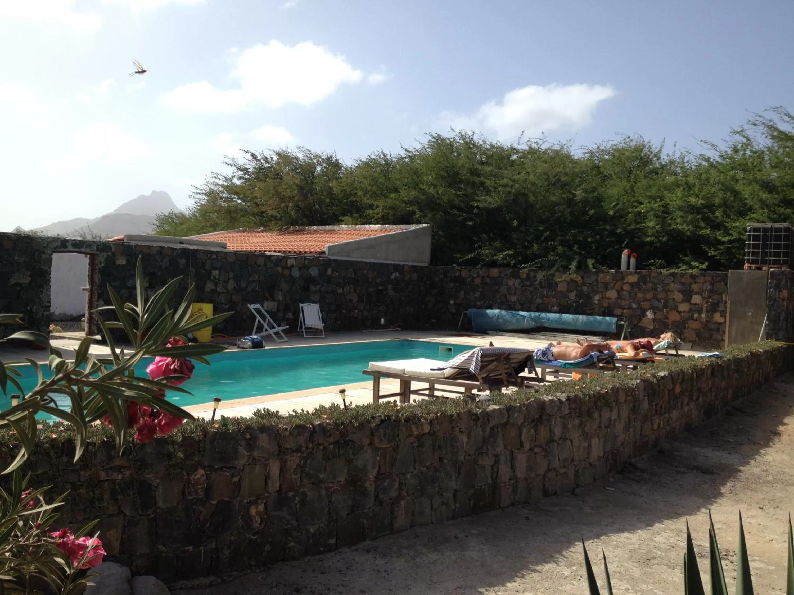 Pool view in Villa Morabeza Guest House