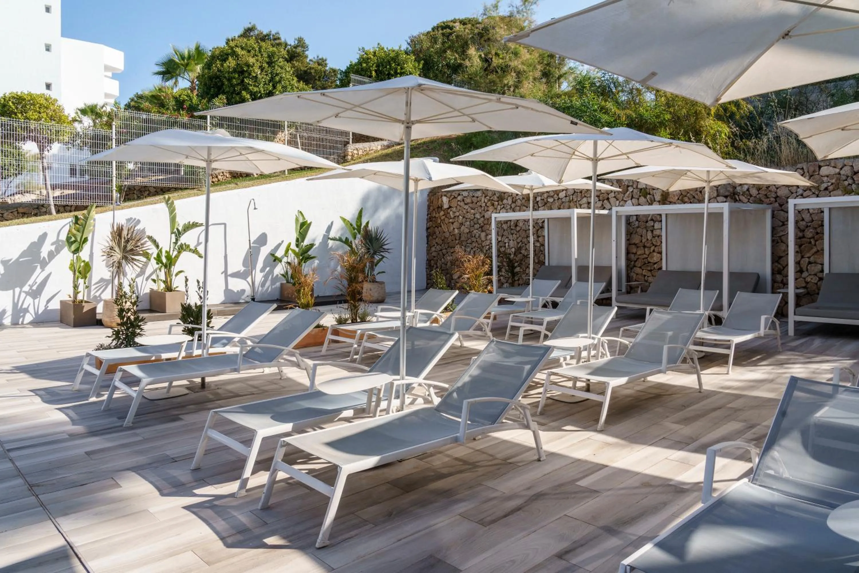 Swimming pool in AluaSoul Mallorca Resort - Adults only