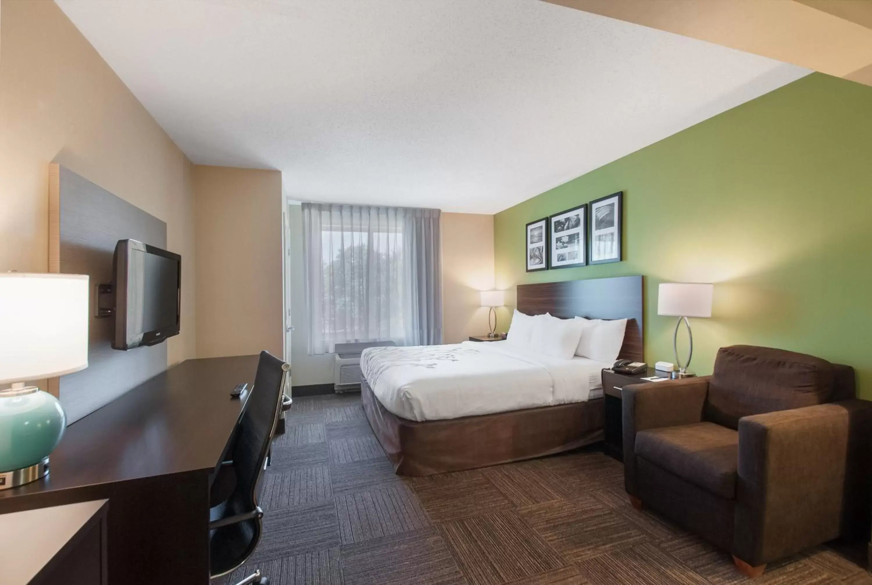 King Room - Accessible/Non-Smoking in Sleep Inn & Suites Dover University Area King Room - Accessible/Non-Smoking in Sleep Inn & Suites Dover University Area