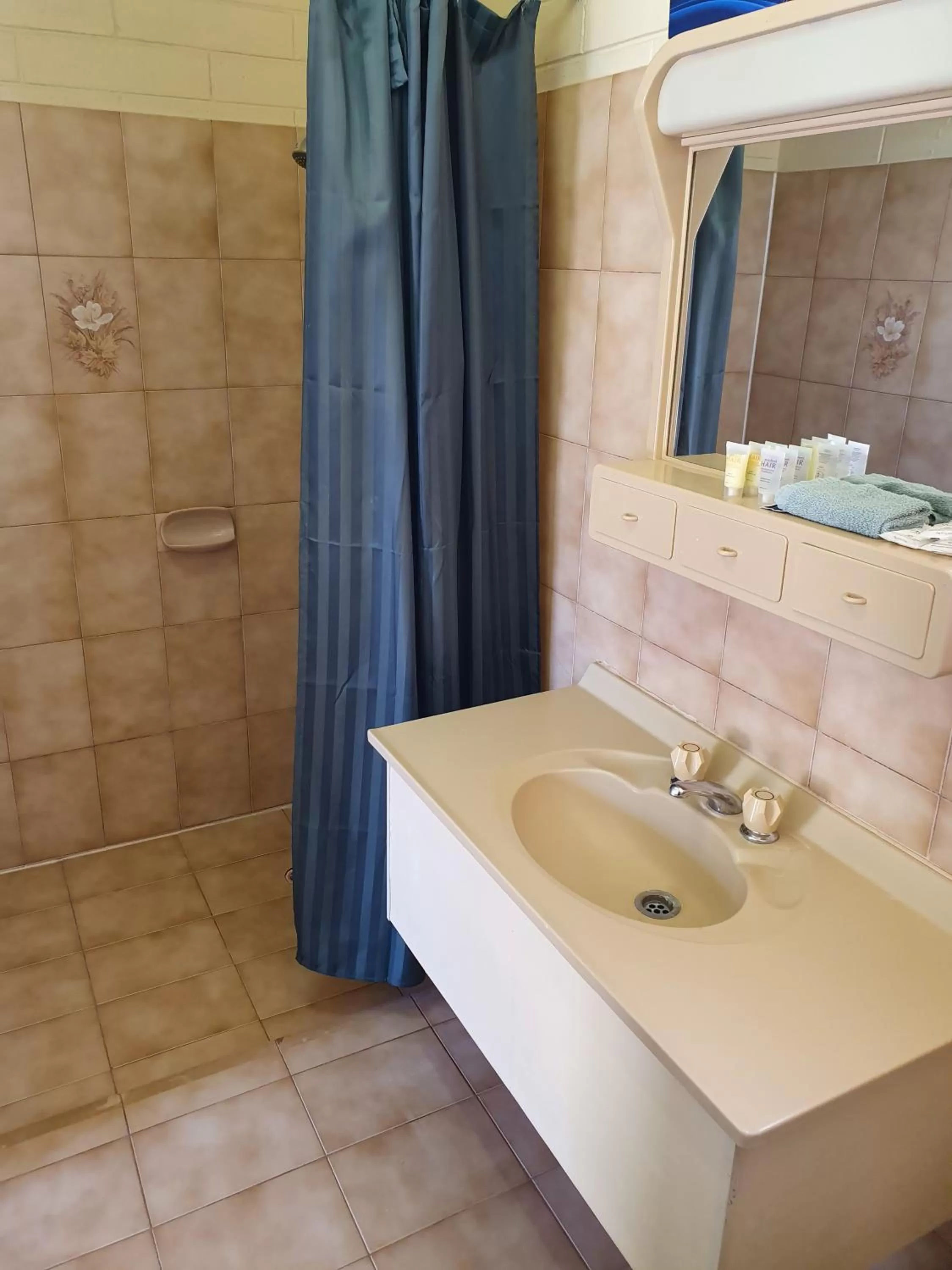 Shower in Opal Inn Hotel, Motel, Caravan Park