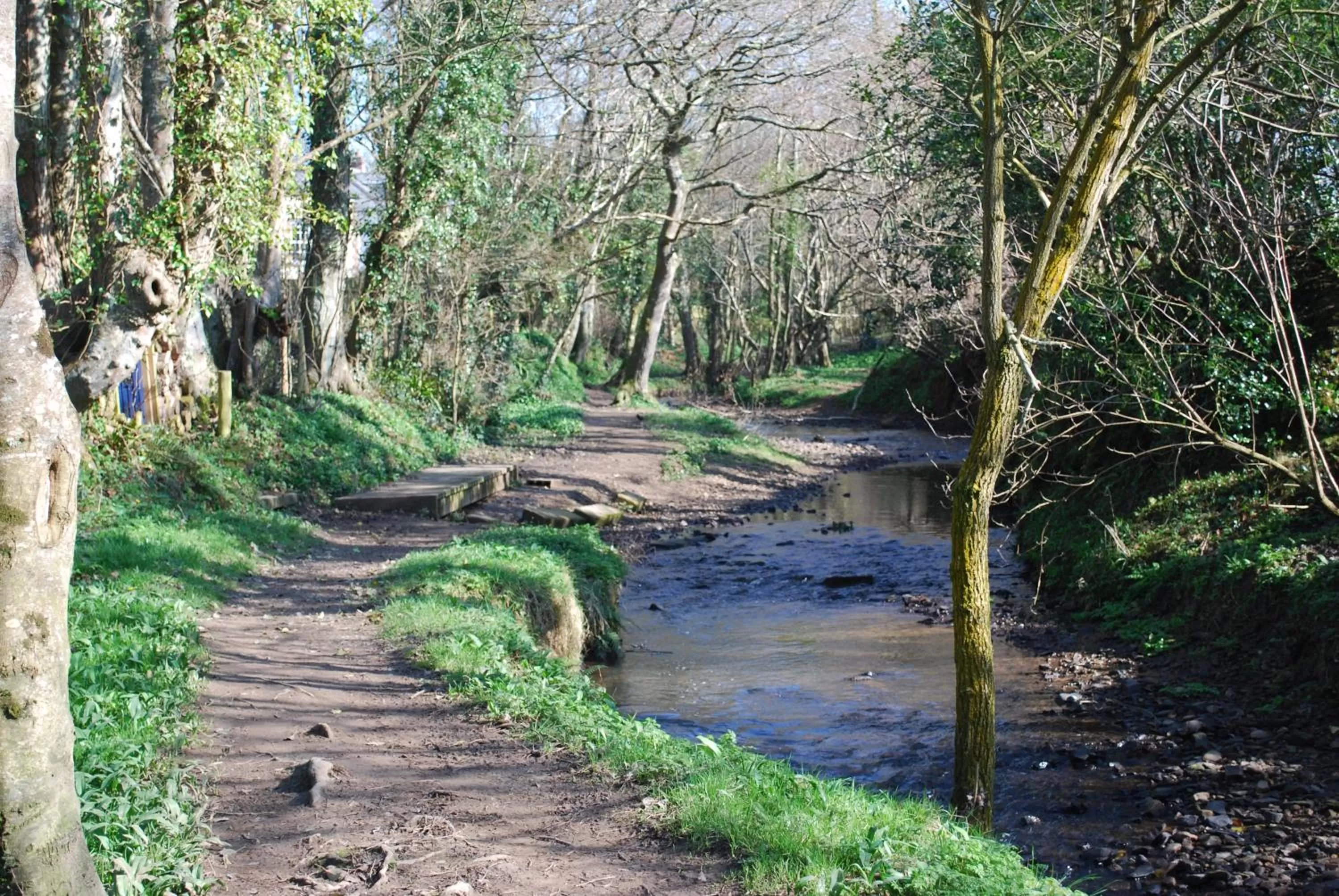 Natural landscape in Oak Lodge B&B