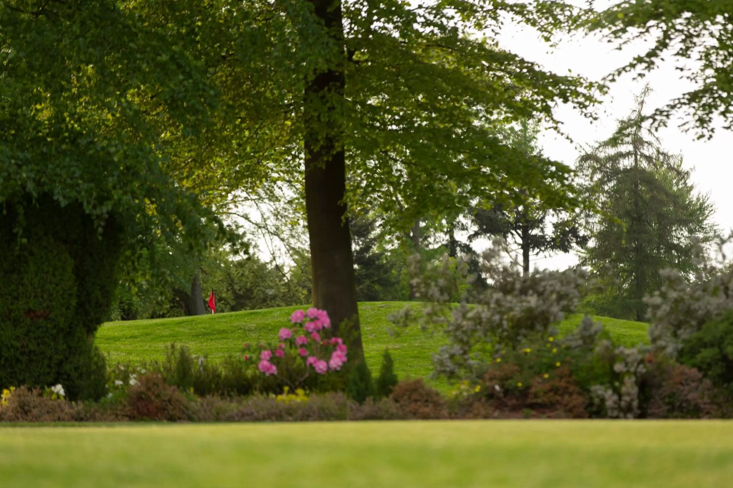 Golfcourse in Forest Pines Hotel, Spa & Golf Resort