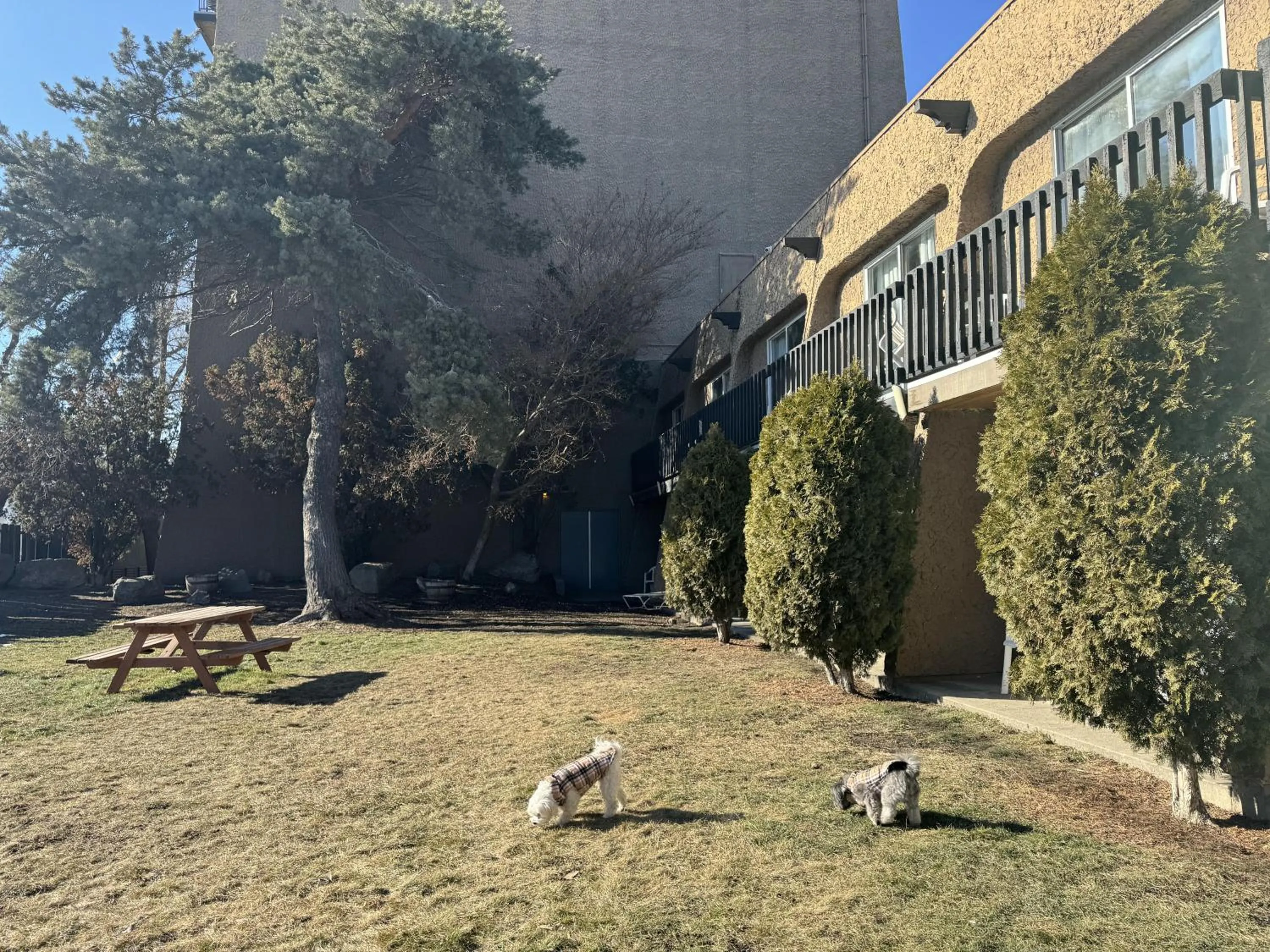 Patio in Divya Sutra Plaza and Conference Centre, Vernon, BC