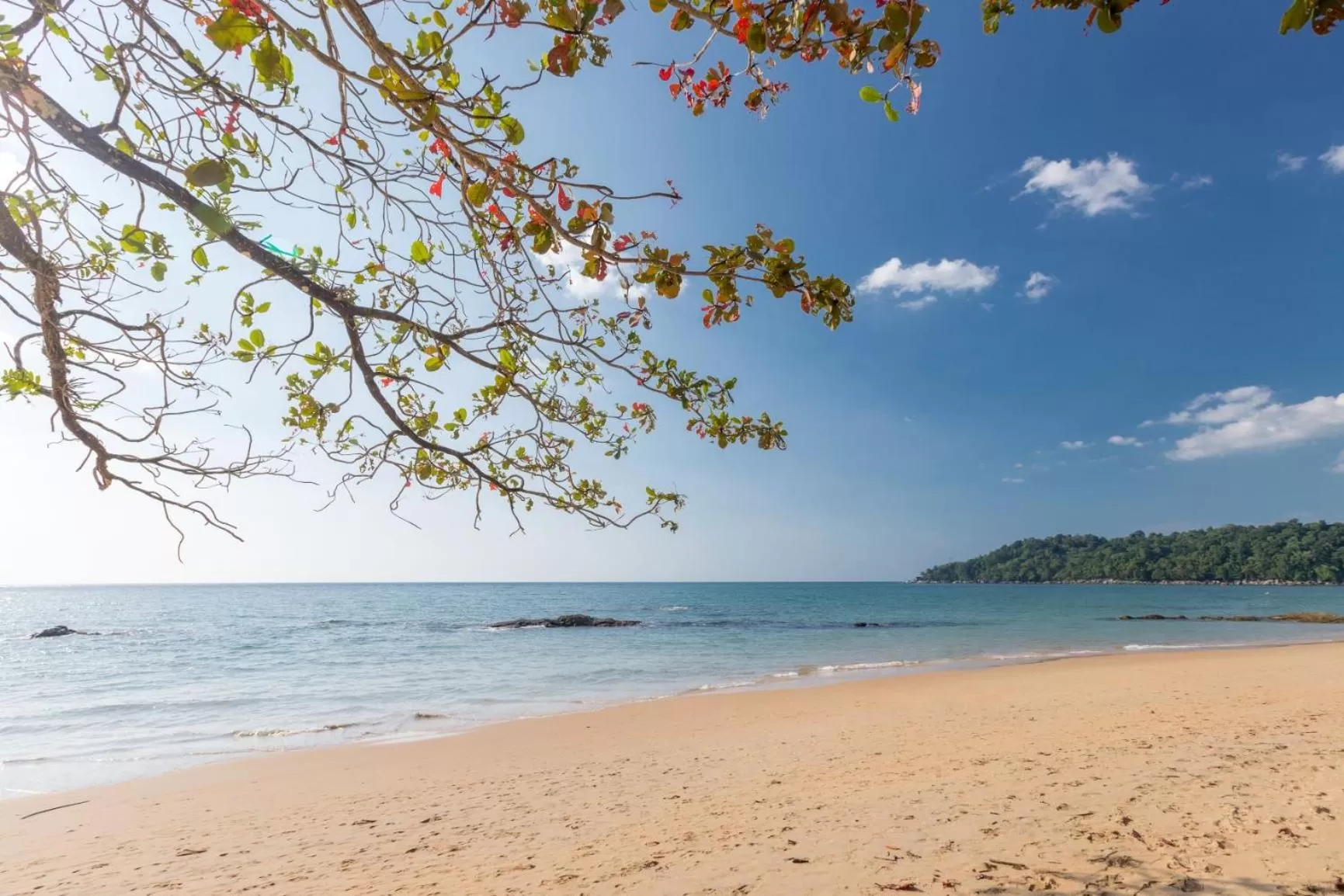 Beach in Eden Beach Khao Lak Resort & Spa