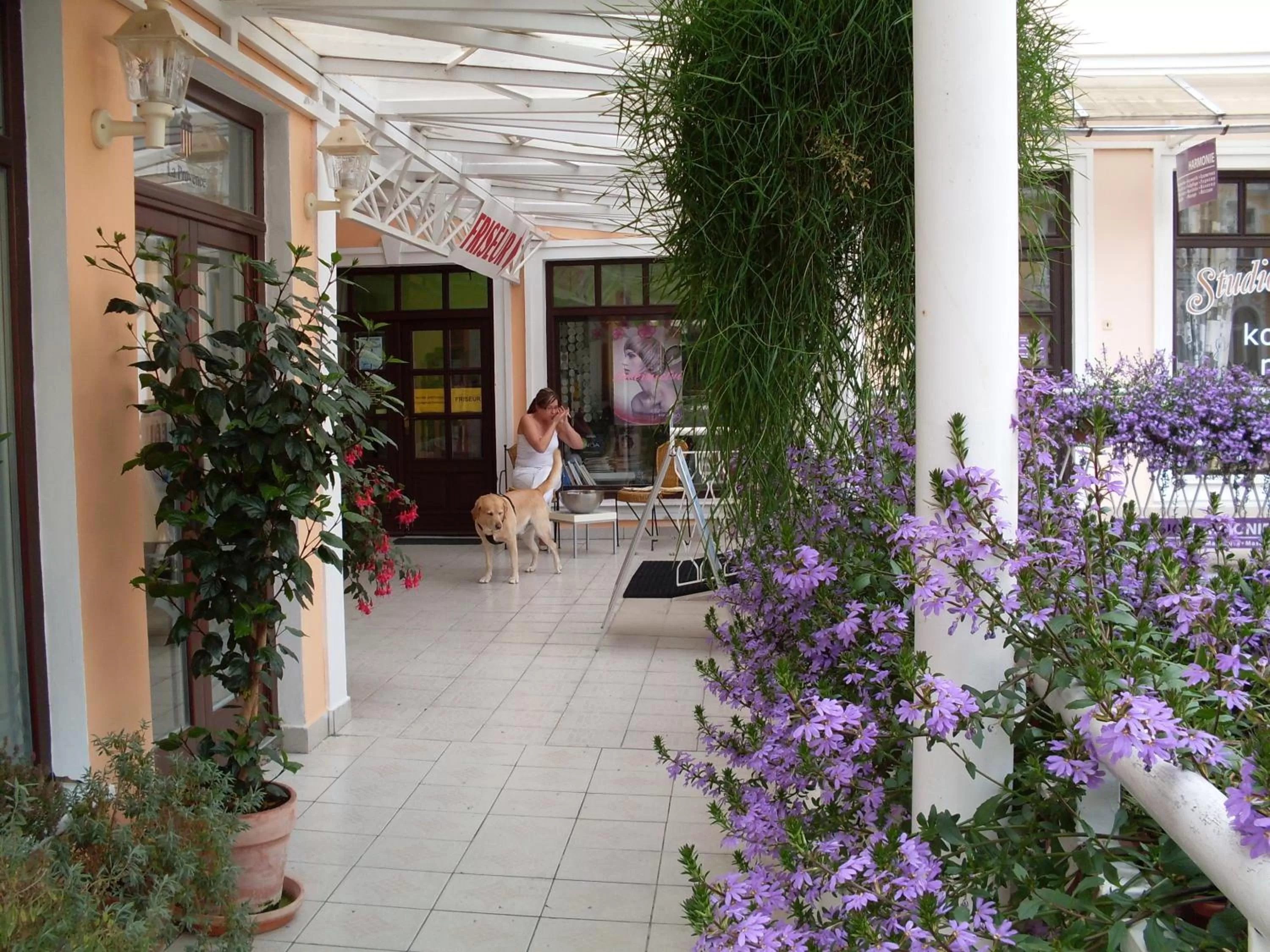 Patio in Apartma La Provence