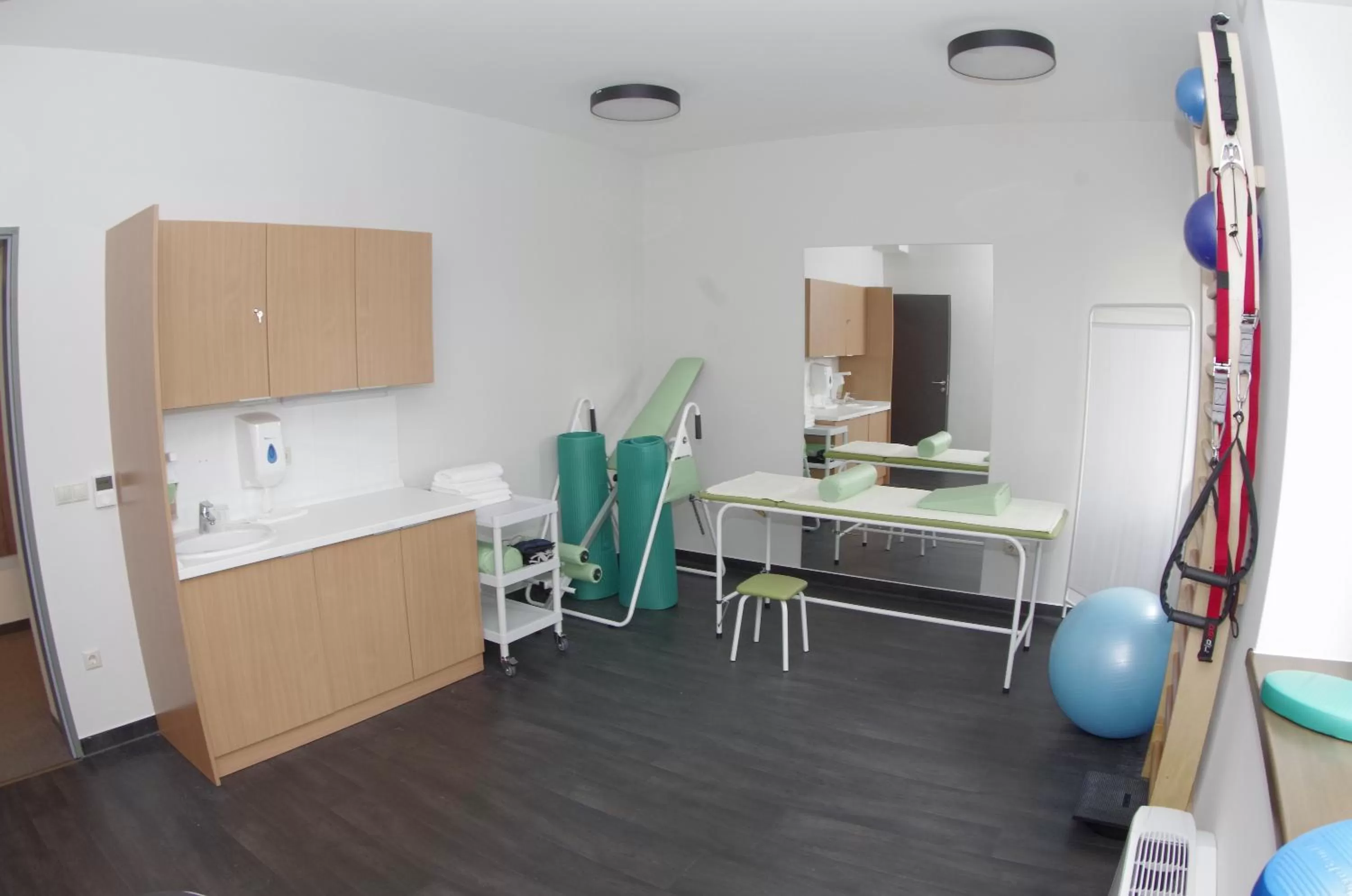 Spa and wellness centre/facilities, Kitchen/Kitchenette in Hotel Therapia