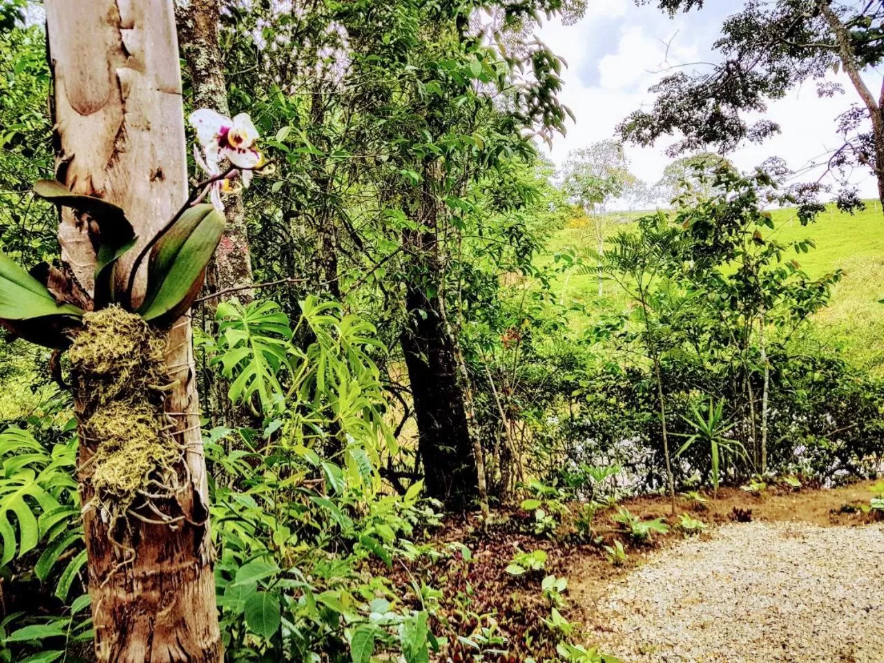 Natural landscape in Pousada Santa Thereza