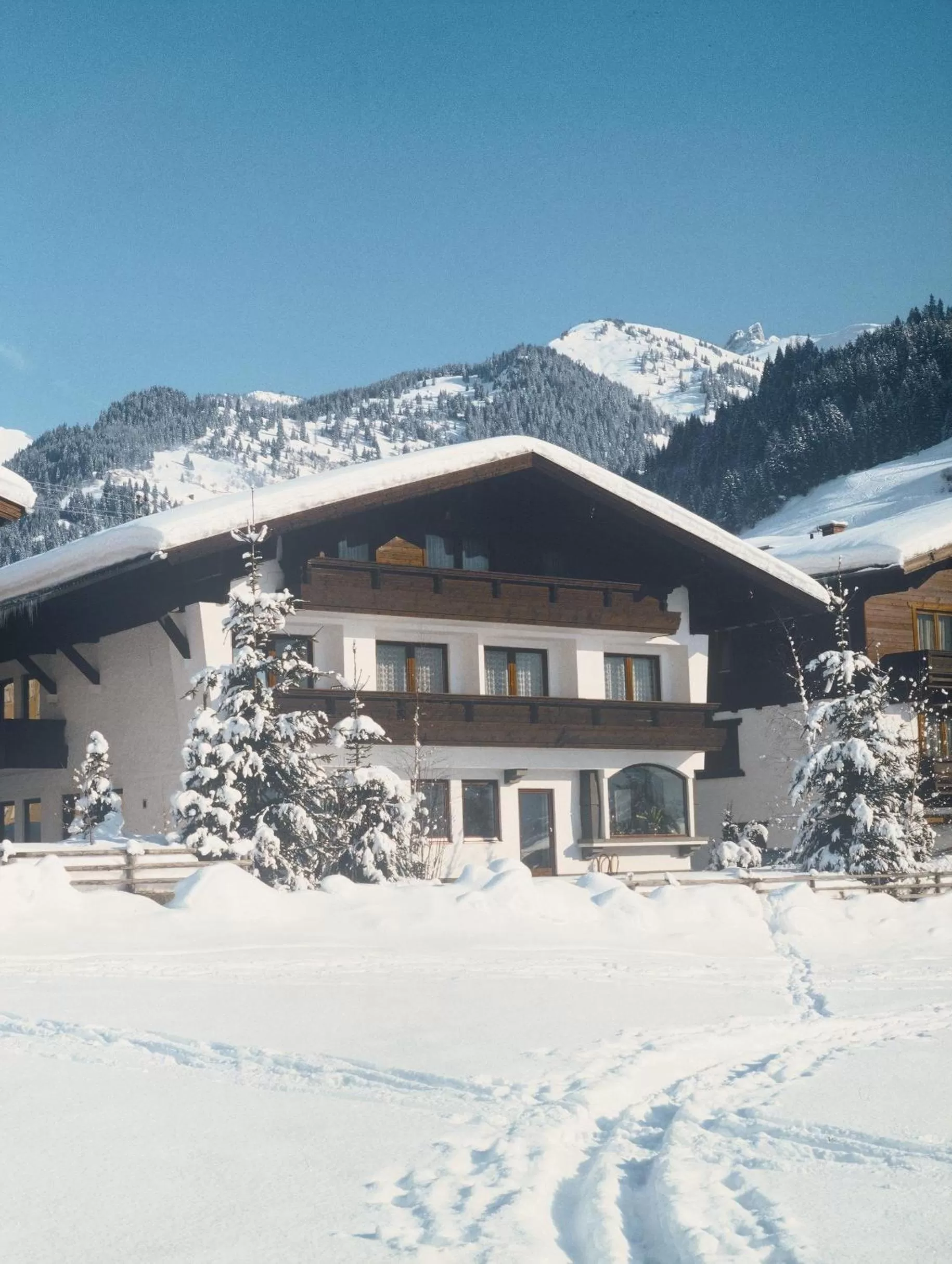 Property building, Winter in Haus Alpina by Châtel Reizen