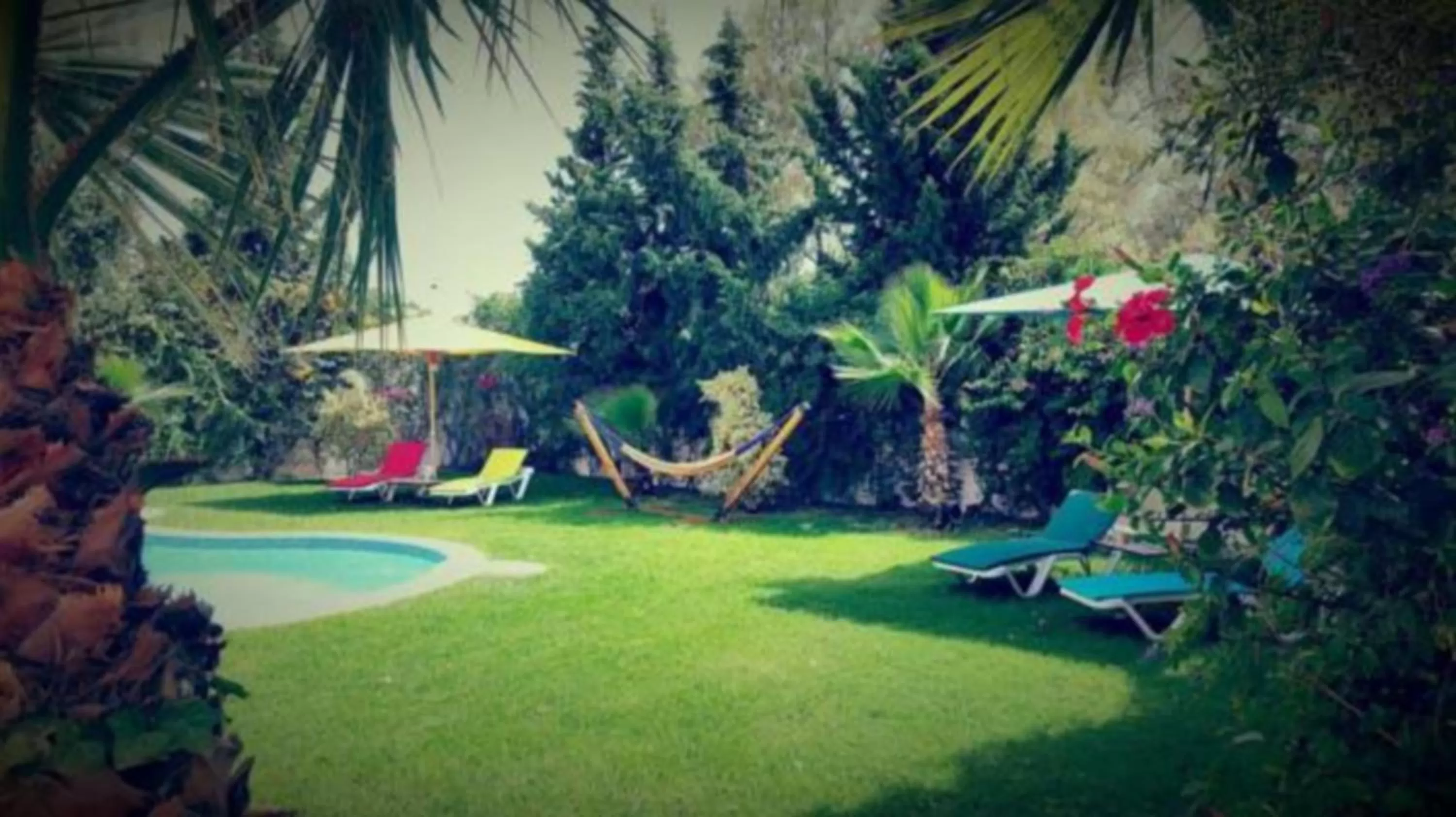 Garden in Dar Khereddine