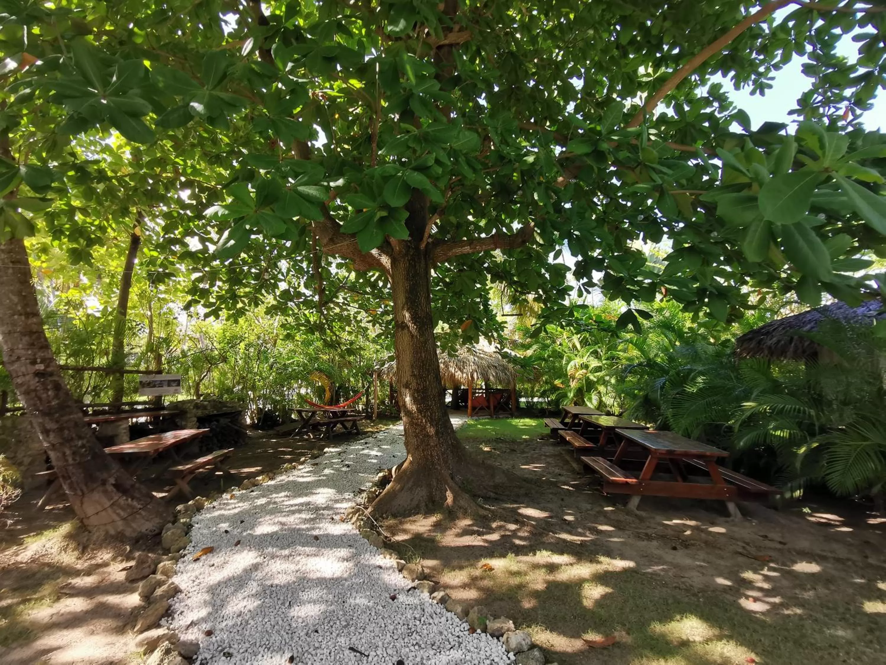 Natural landscape in Tropical Villas at Los Corales Beach - Caribbean Rentals FZCO