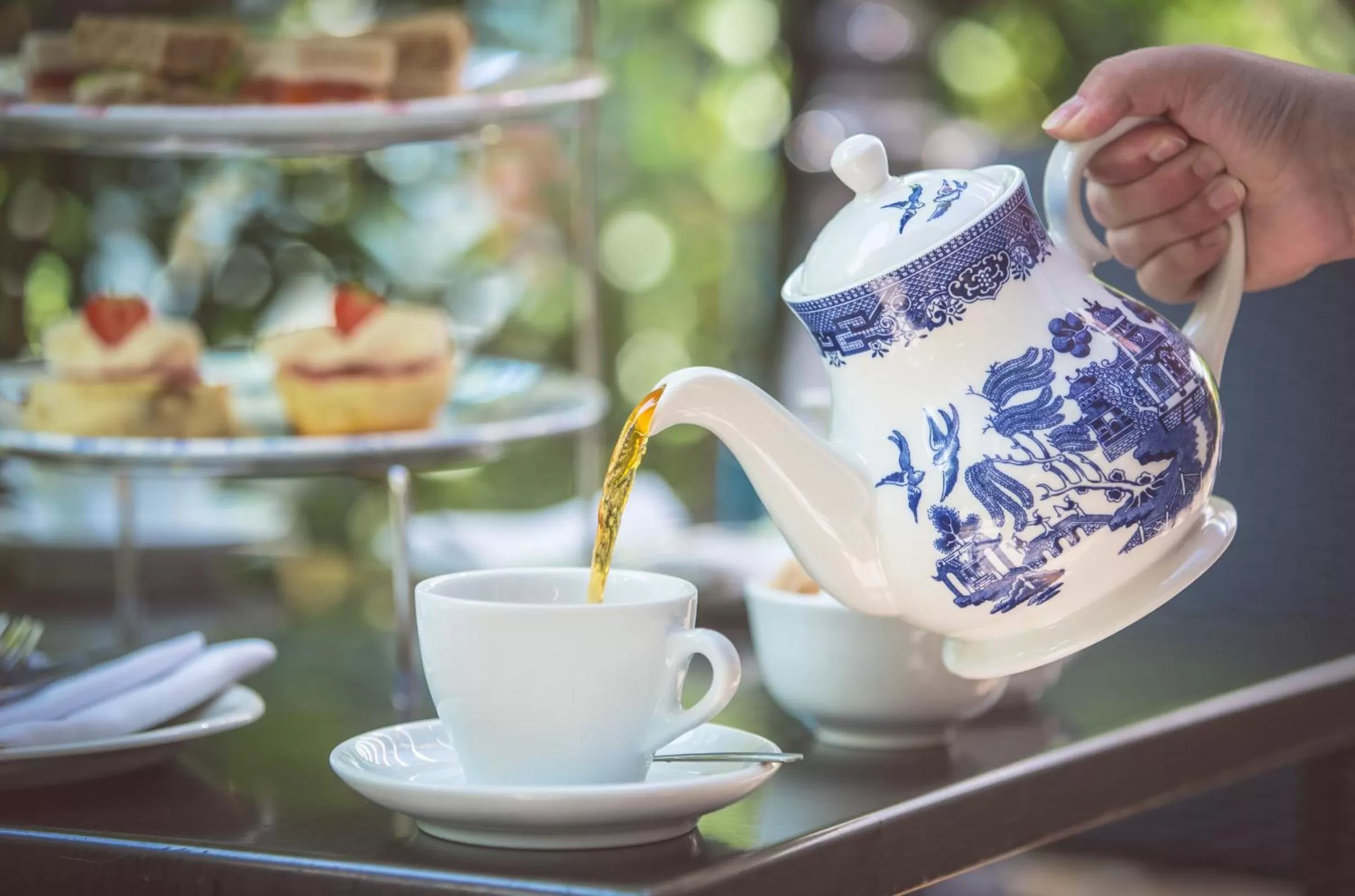 Food and drinks in The Malone Hotel