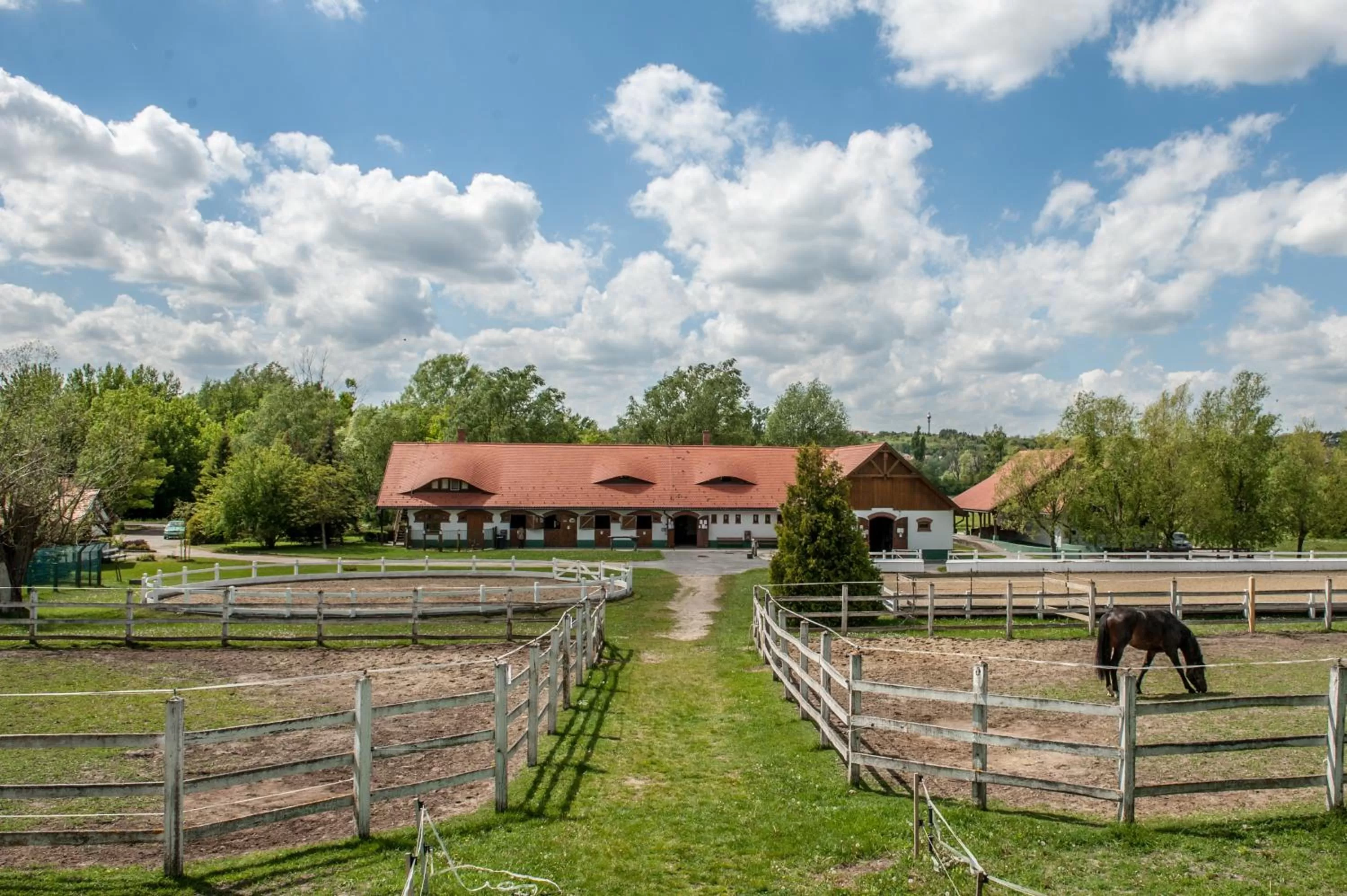 Spring in Club Dobogómajor superior