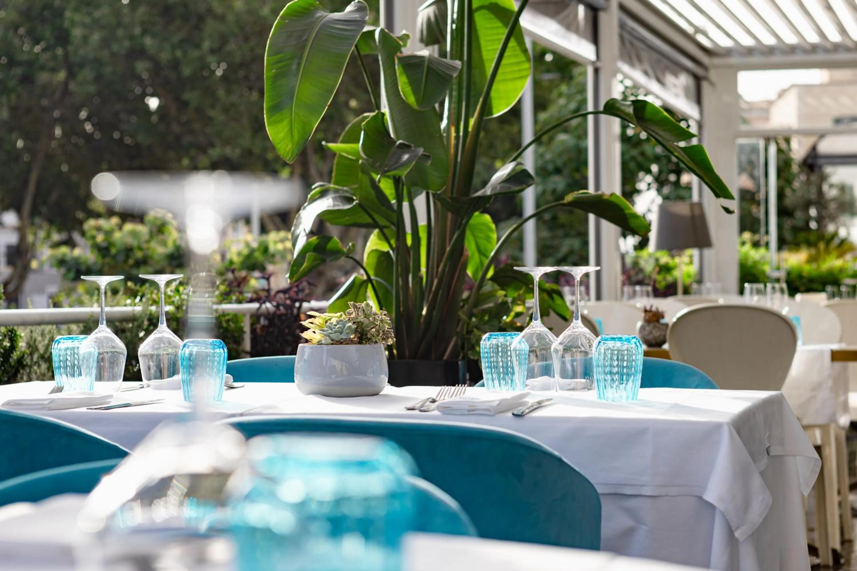 Restaurant/places to eat in Villa Zaccardi