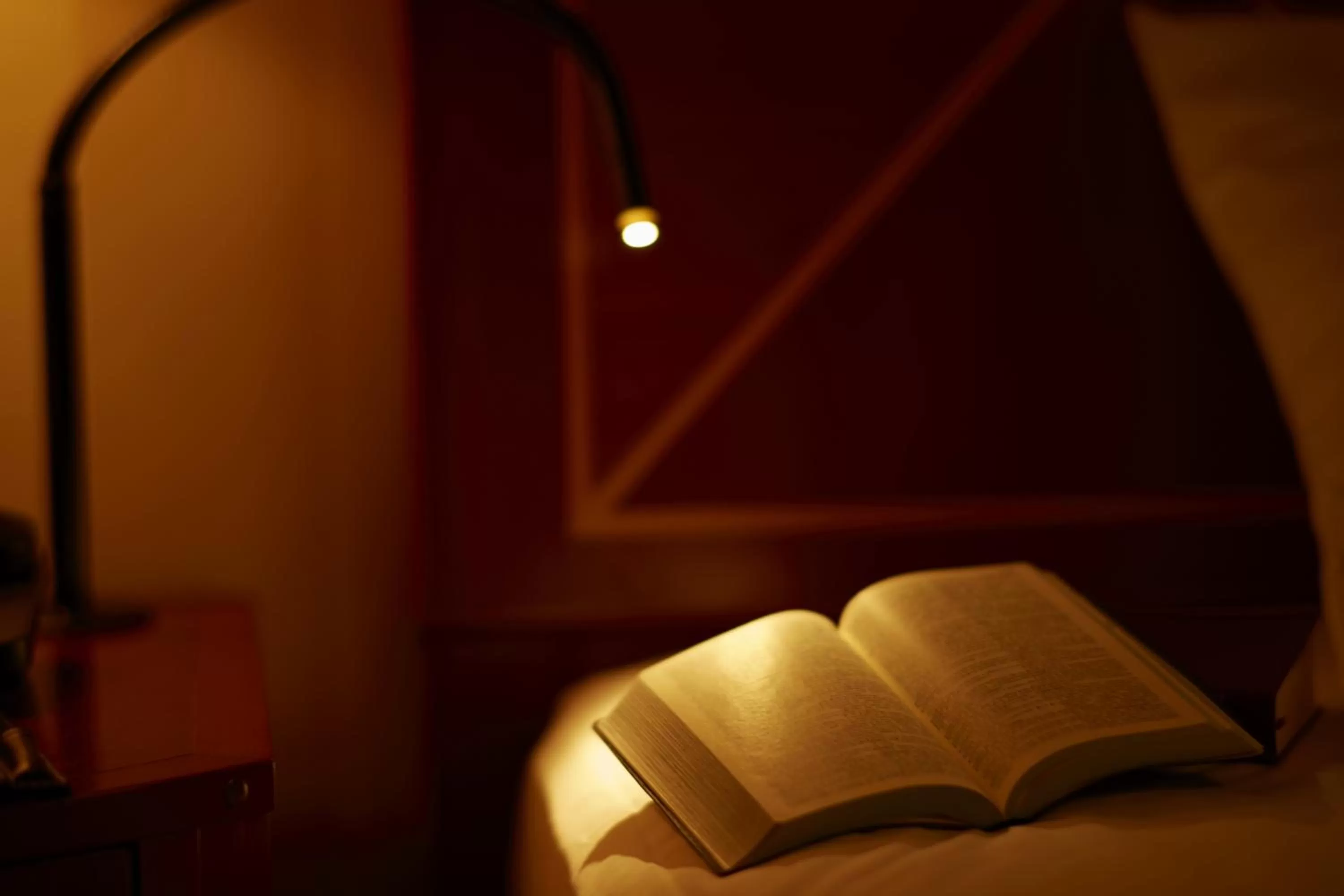 Decorative detail in Imperial Hotel Osaka