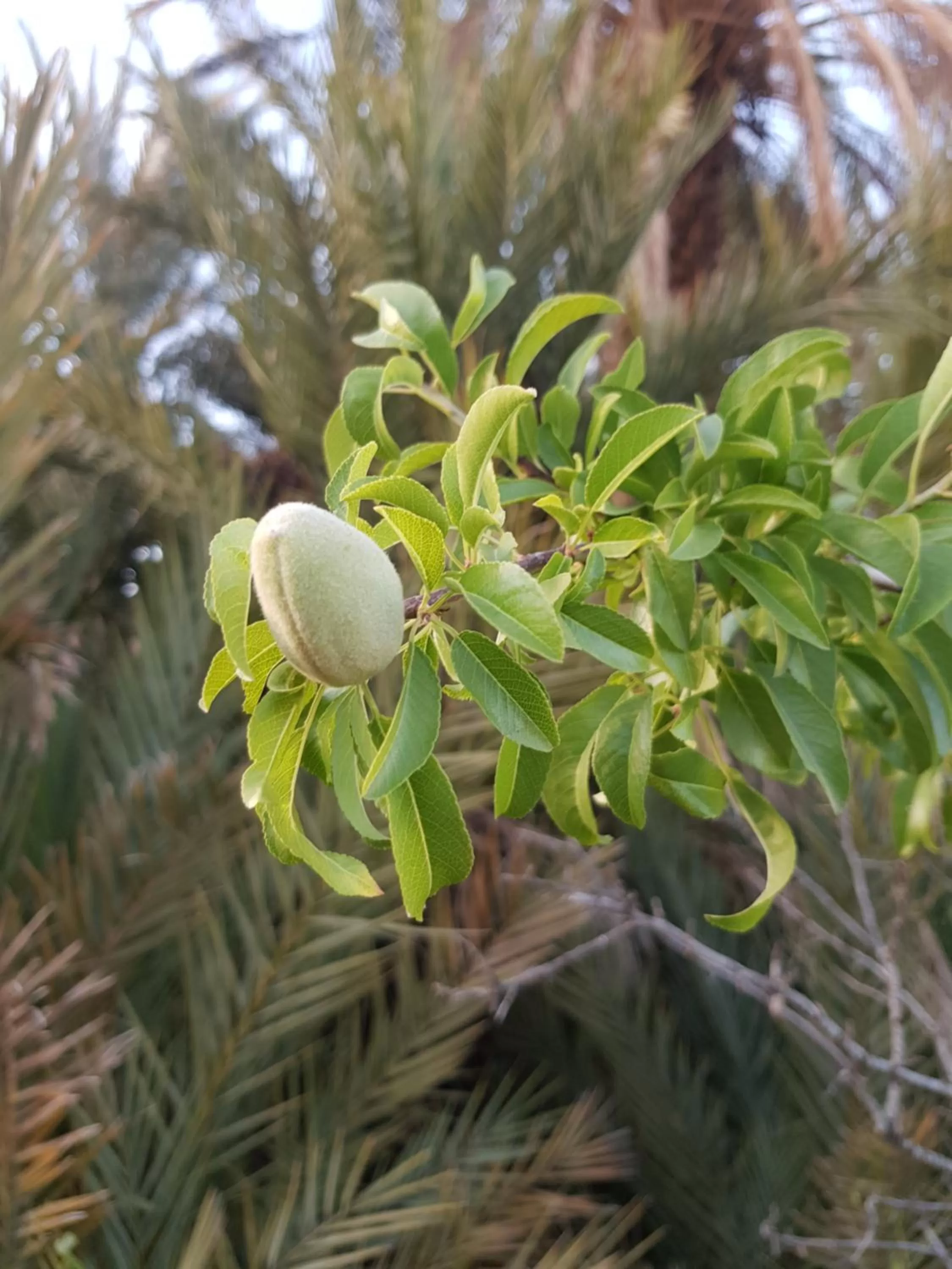 ecolodge bivouac des aigles