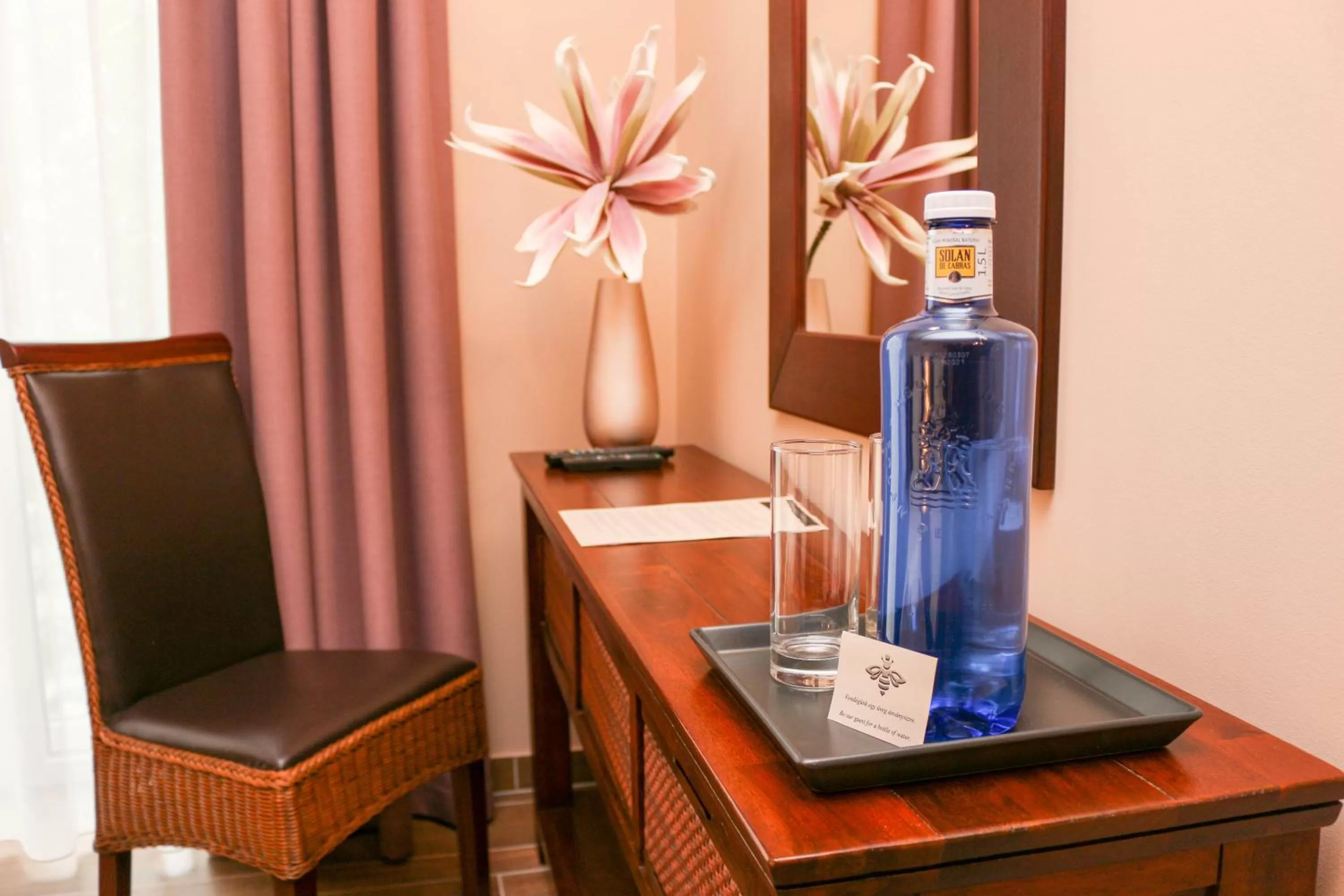 Other in Maya Panzio