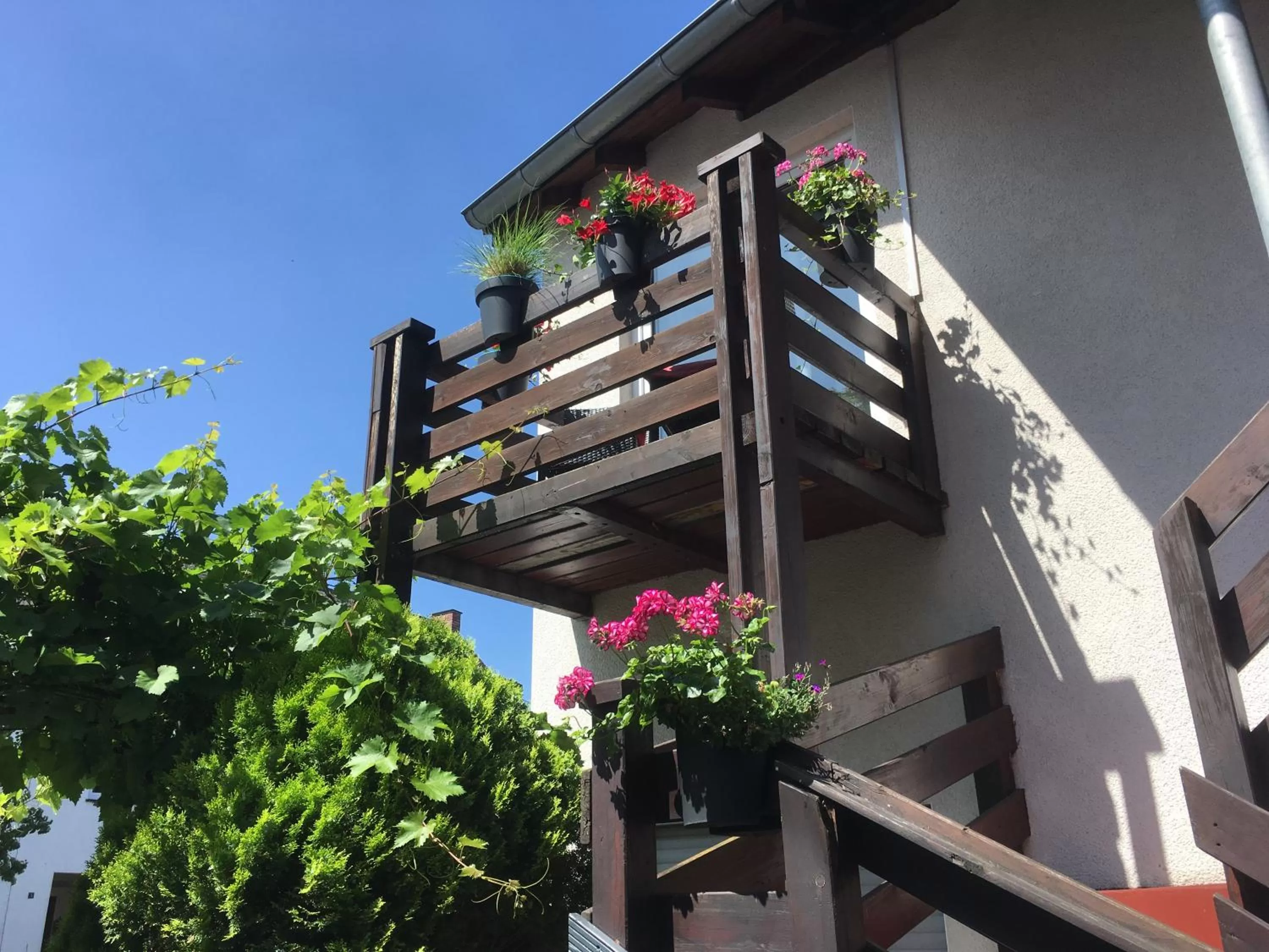 Balcony/Terrace in Gaestehaus Klaus