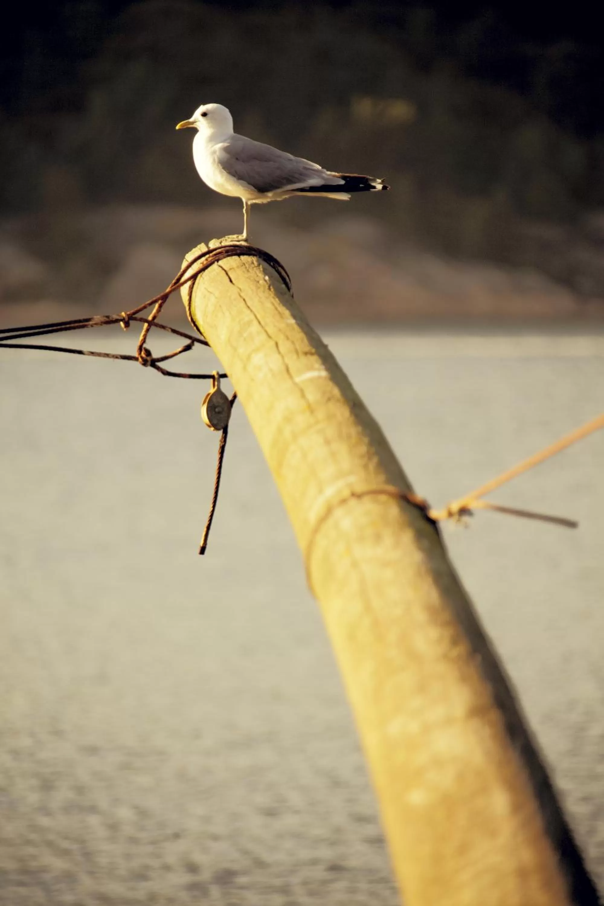 On site in Sørlandet Feriesenter