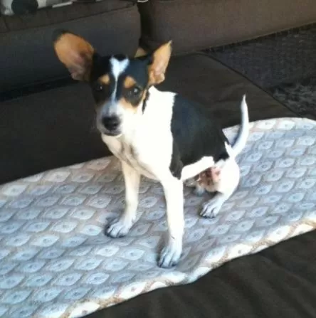 Ochenta Y Dos Bed & Breakfast & Spa