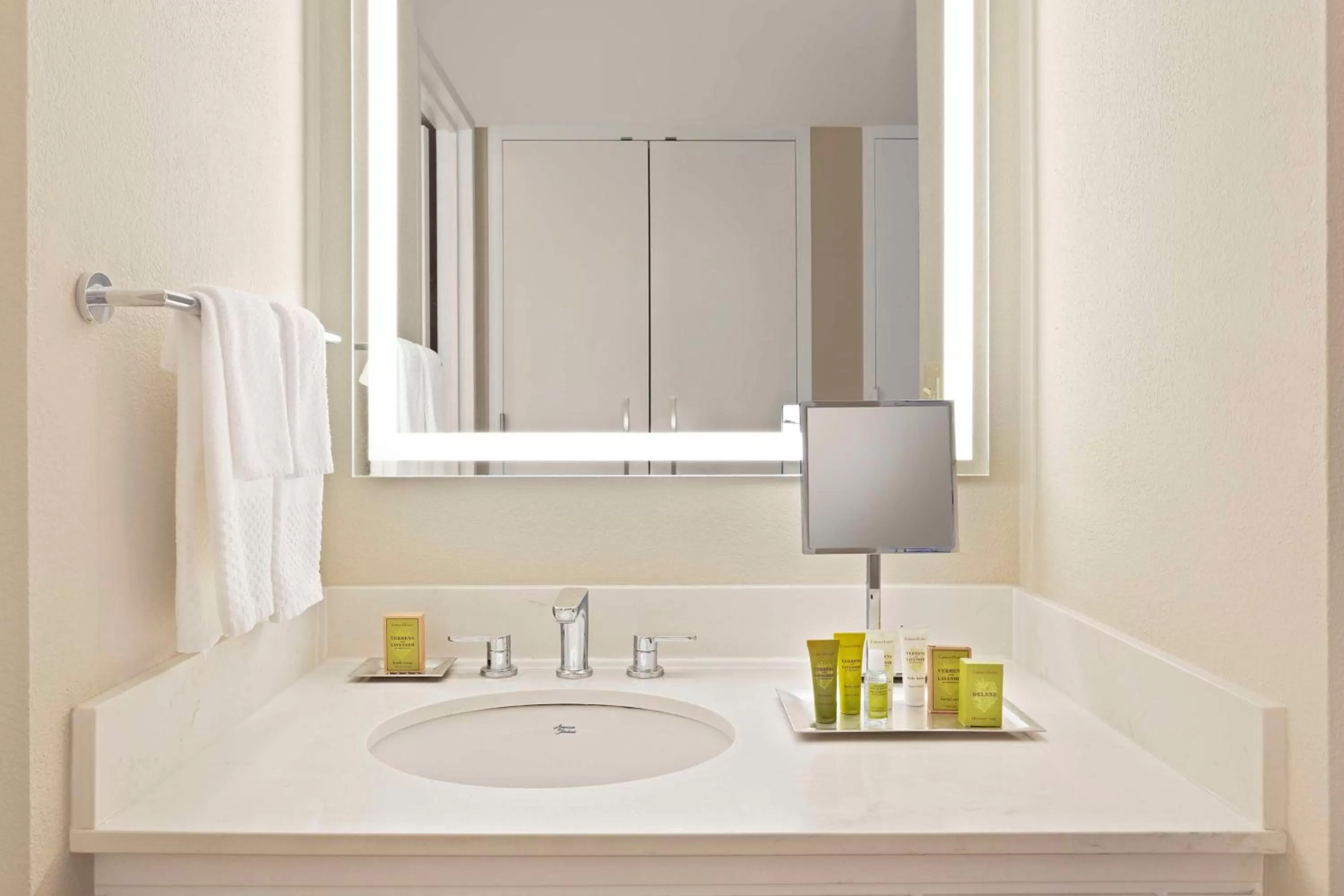 Bathroom in Hilton Orlando Lake Buena Vista - Disney Springs™ Area