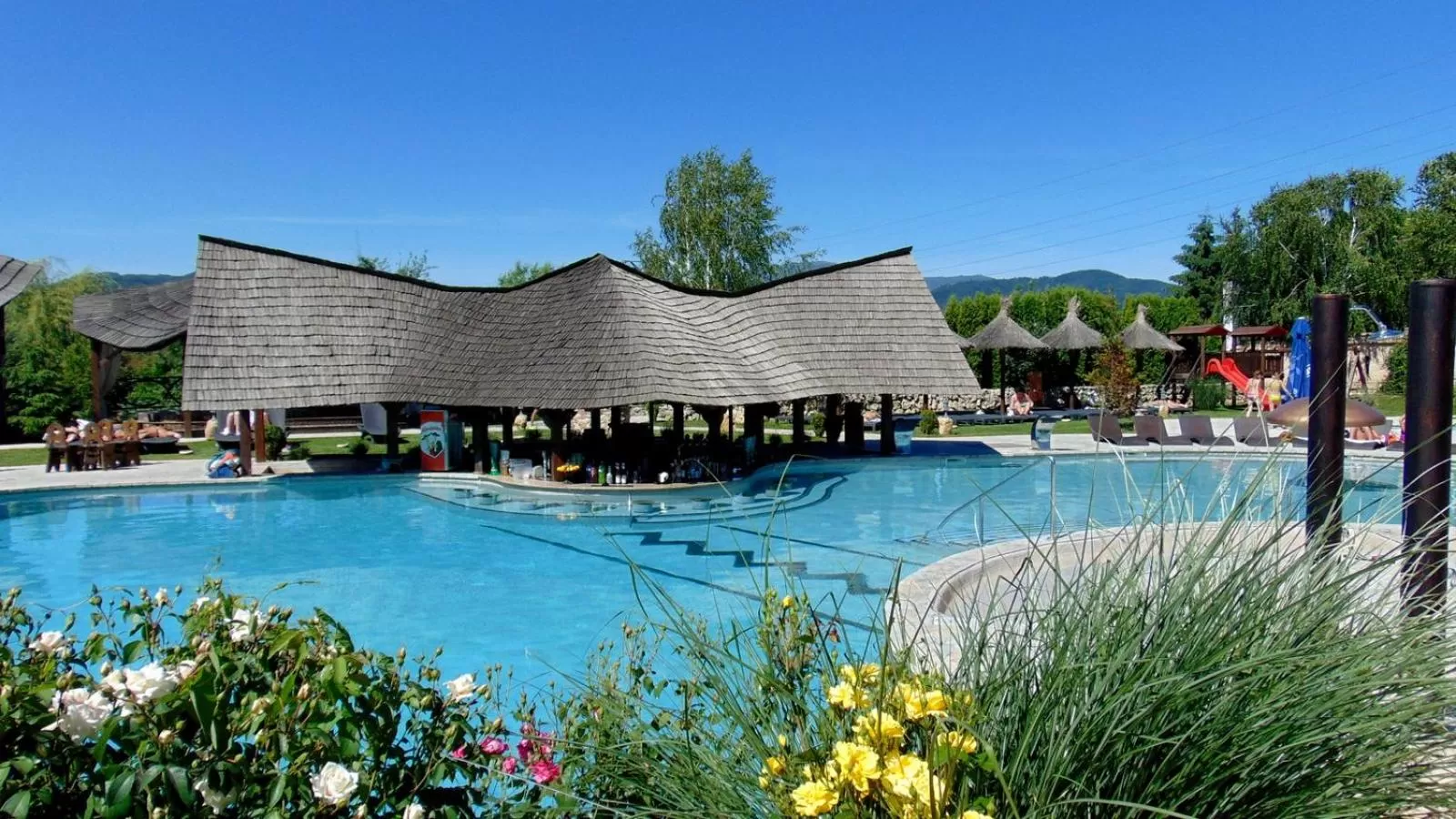 Swimming pool in Castel Transilvania