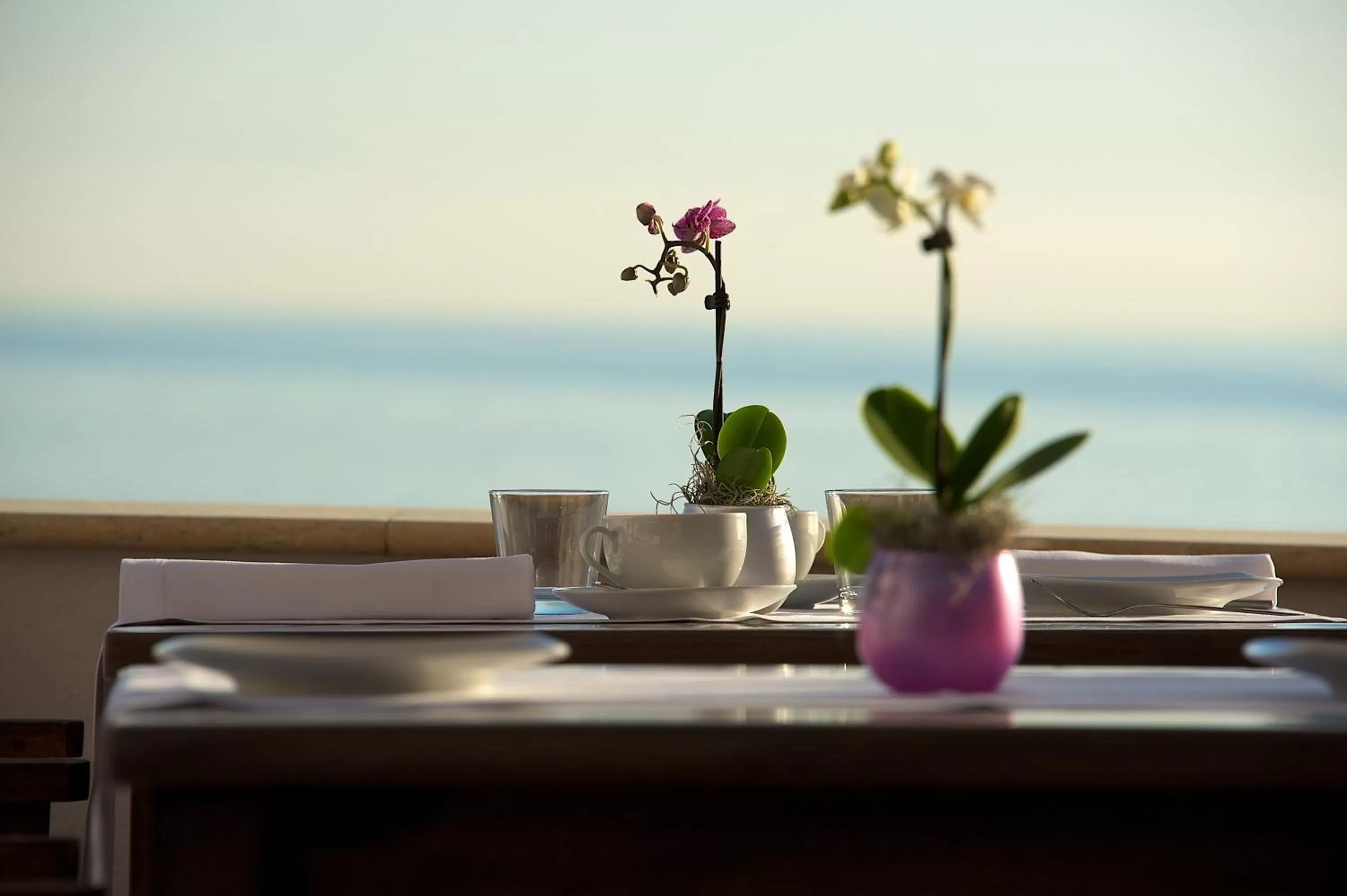 Balcony/Terrace in Villa Lieta