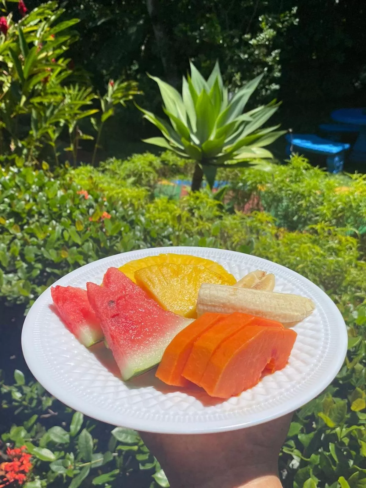 Food in Brillasol Airport Hotel