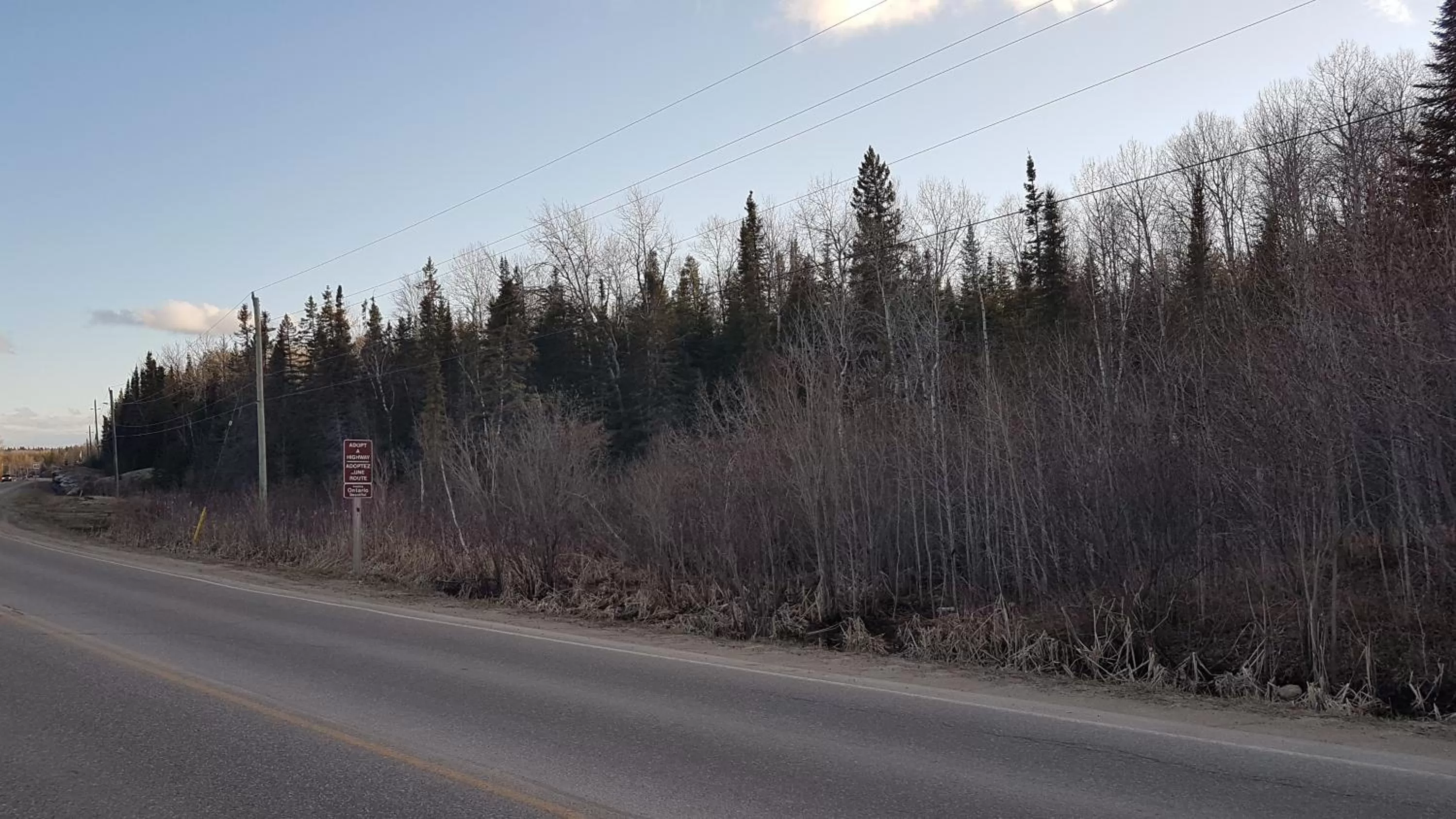 Natural landscape in Executive Suites