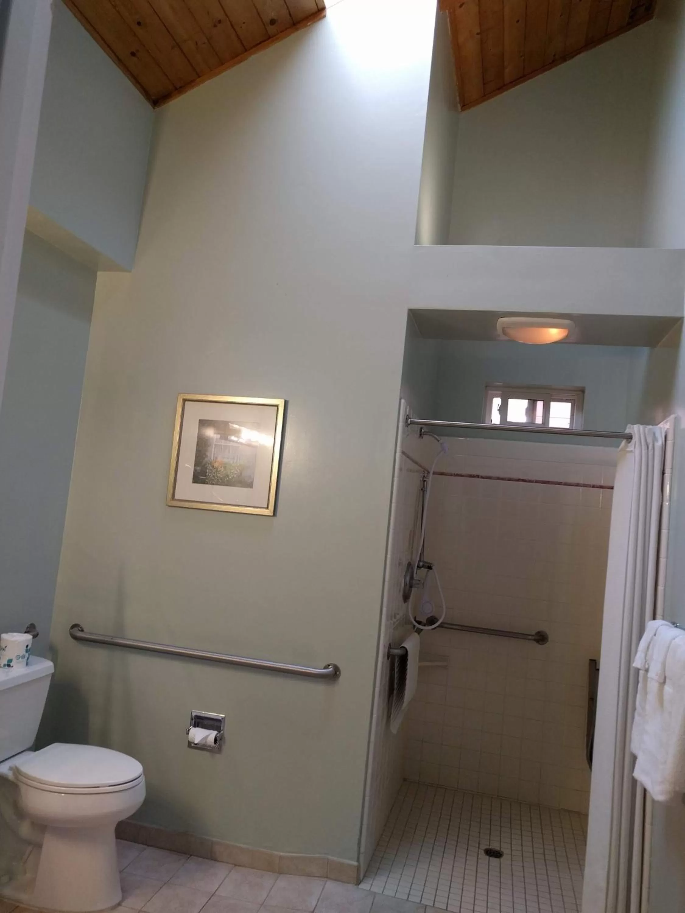 Toilet in Butterfly Grove Inn