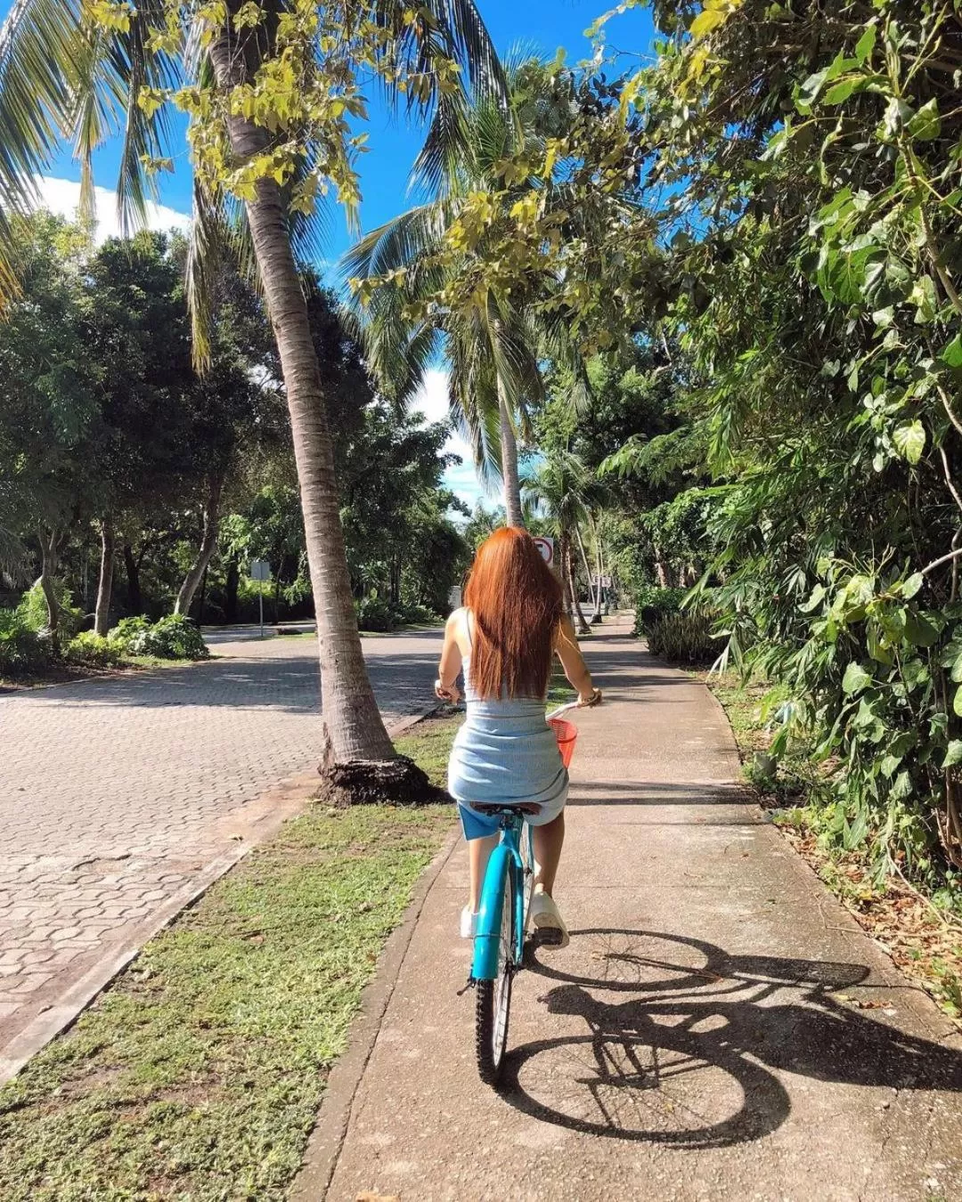 Activities in The Reef Playacar Beach Resort & Spa-Optional All Inclusive