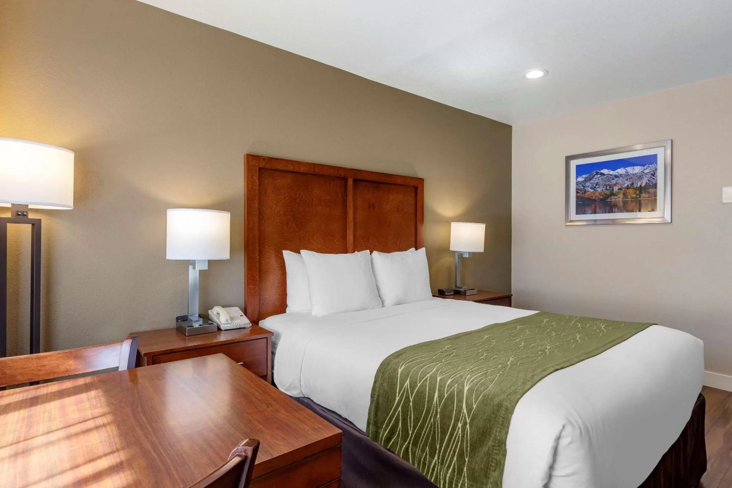 Photo of the whole room, Bed in Comfort Inn Bishop