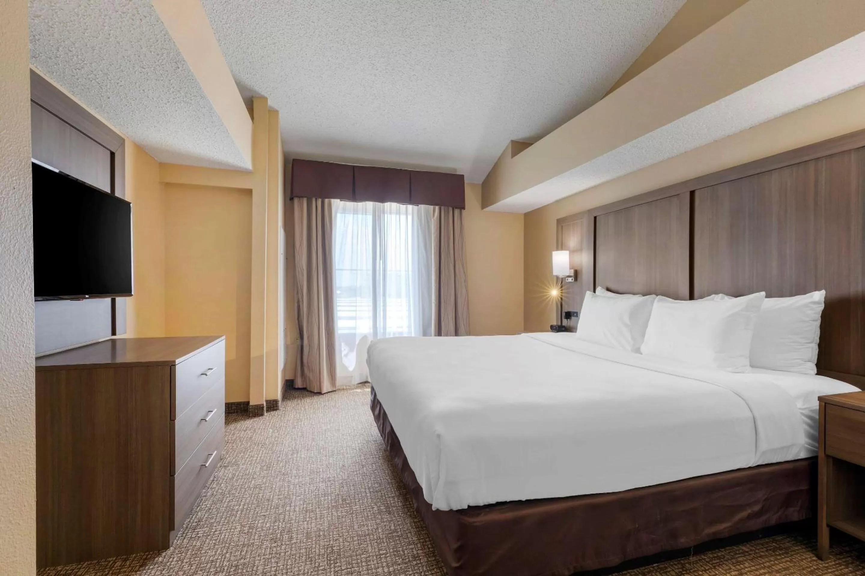 Bed in Comfort Suites DFW Airport