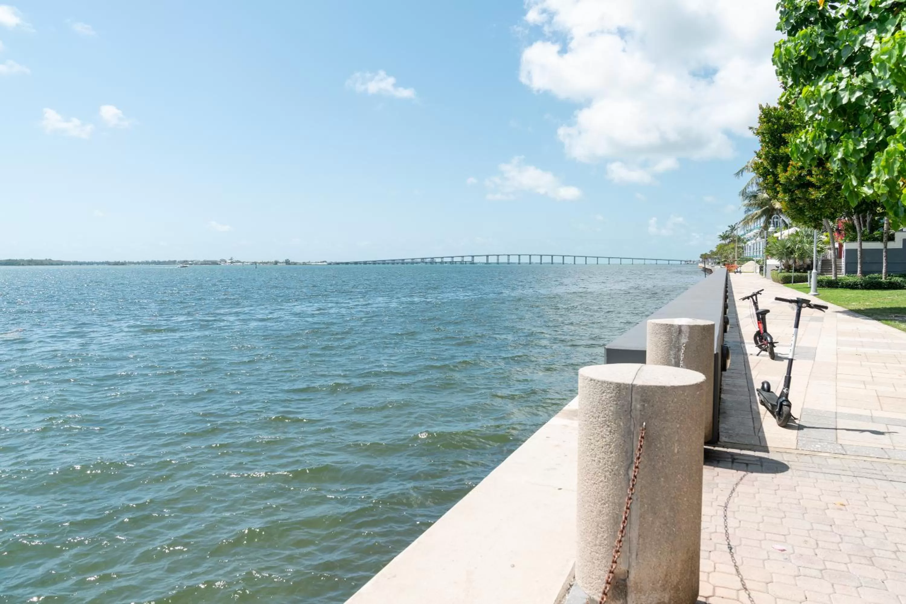 Natural landscape in Hyatt Centric Brickell Miami
