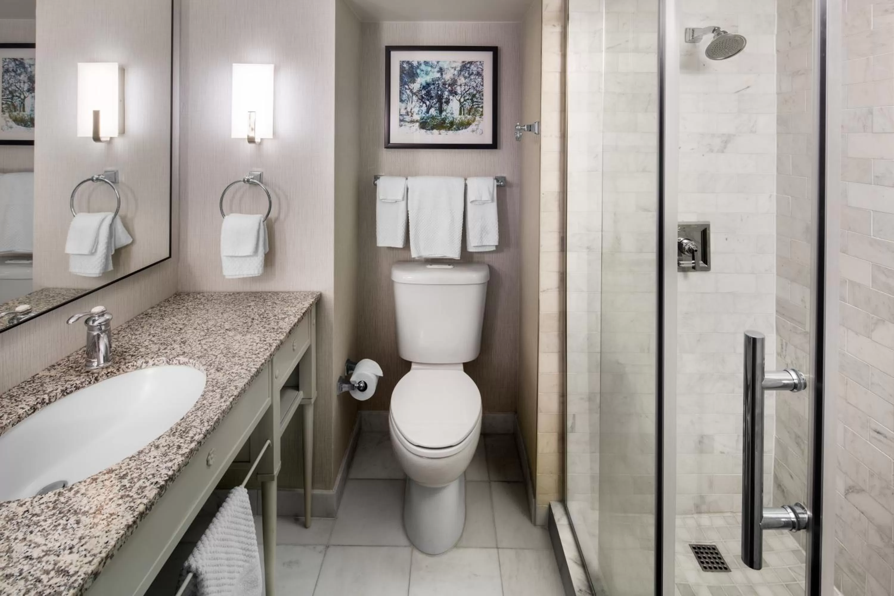 Shower in The DeSoto