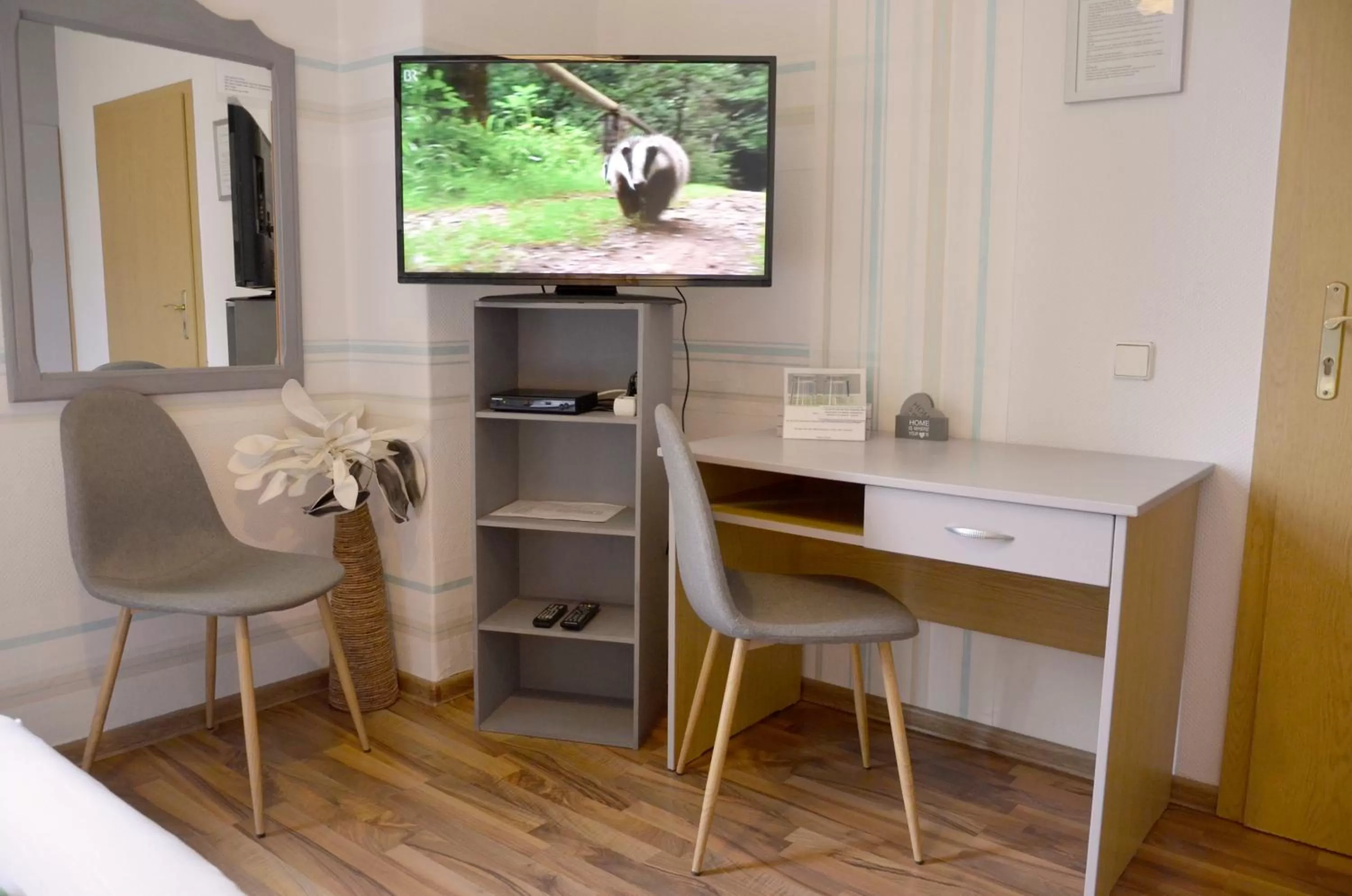 TV/Entertainment Center in Pension zur Neiße