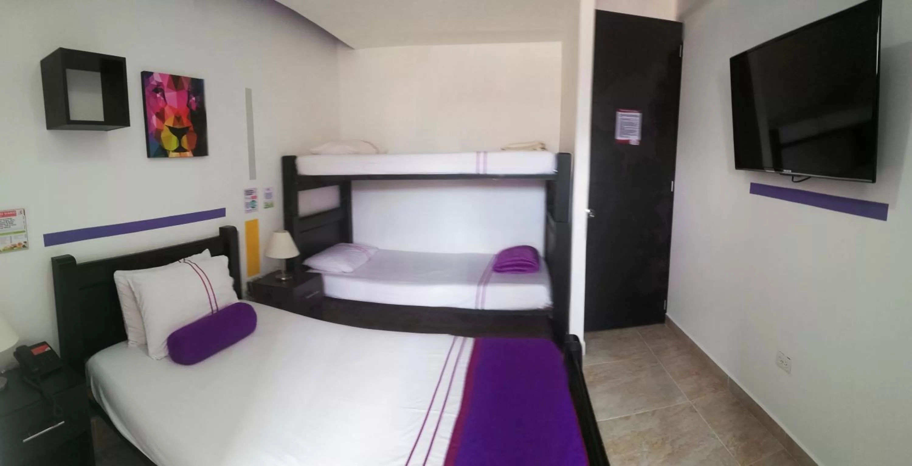 Photo of the whole room, Bunk Bed in HOTEL COLOURS Cali