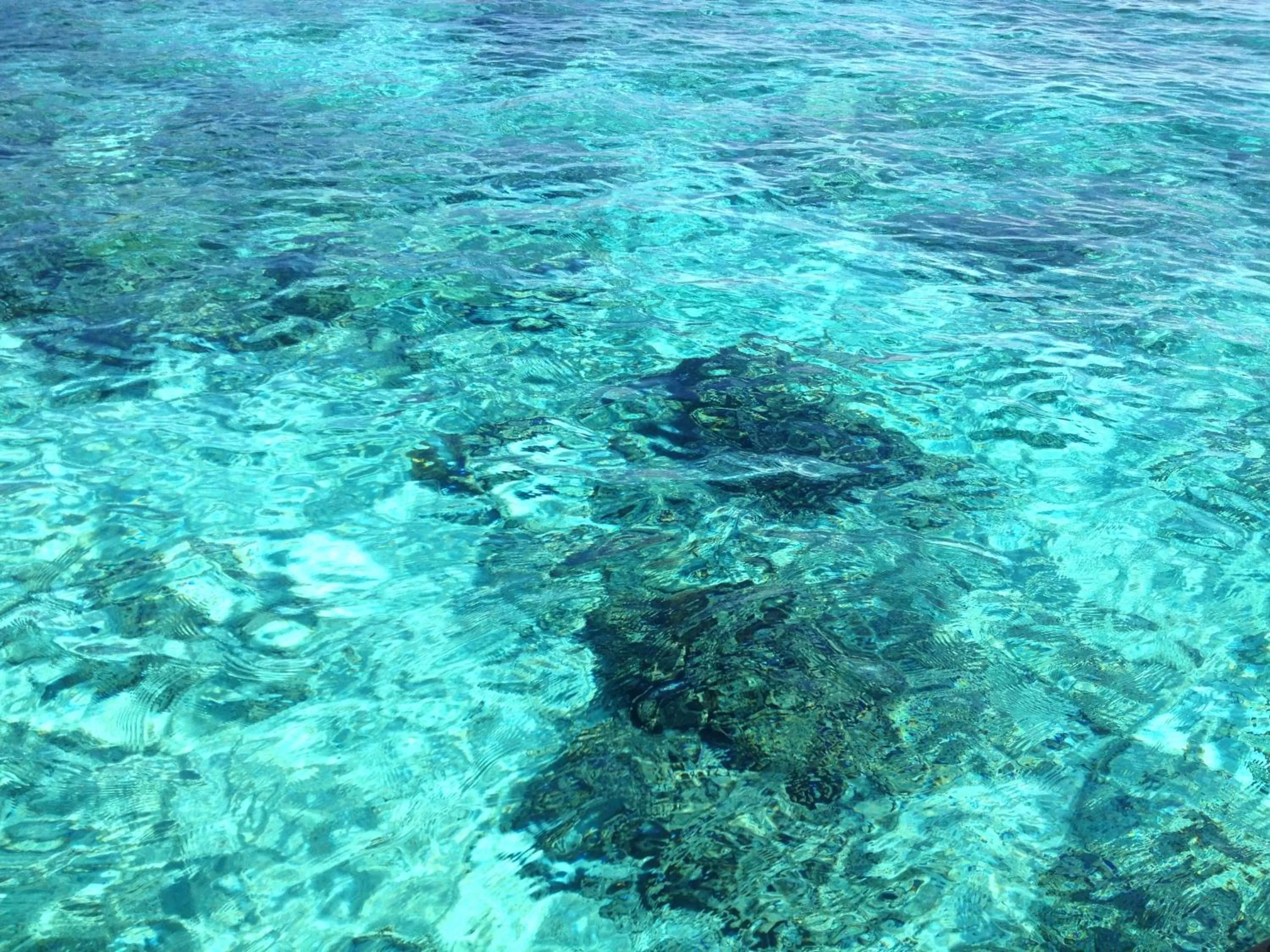 Beach in Omala Village Gili Air