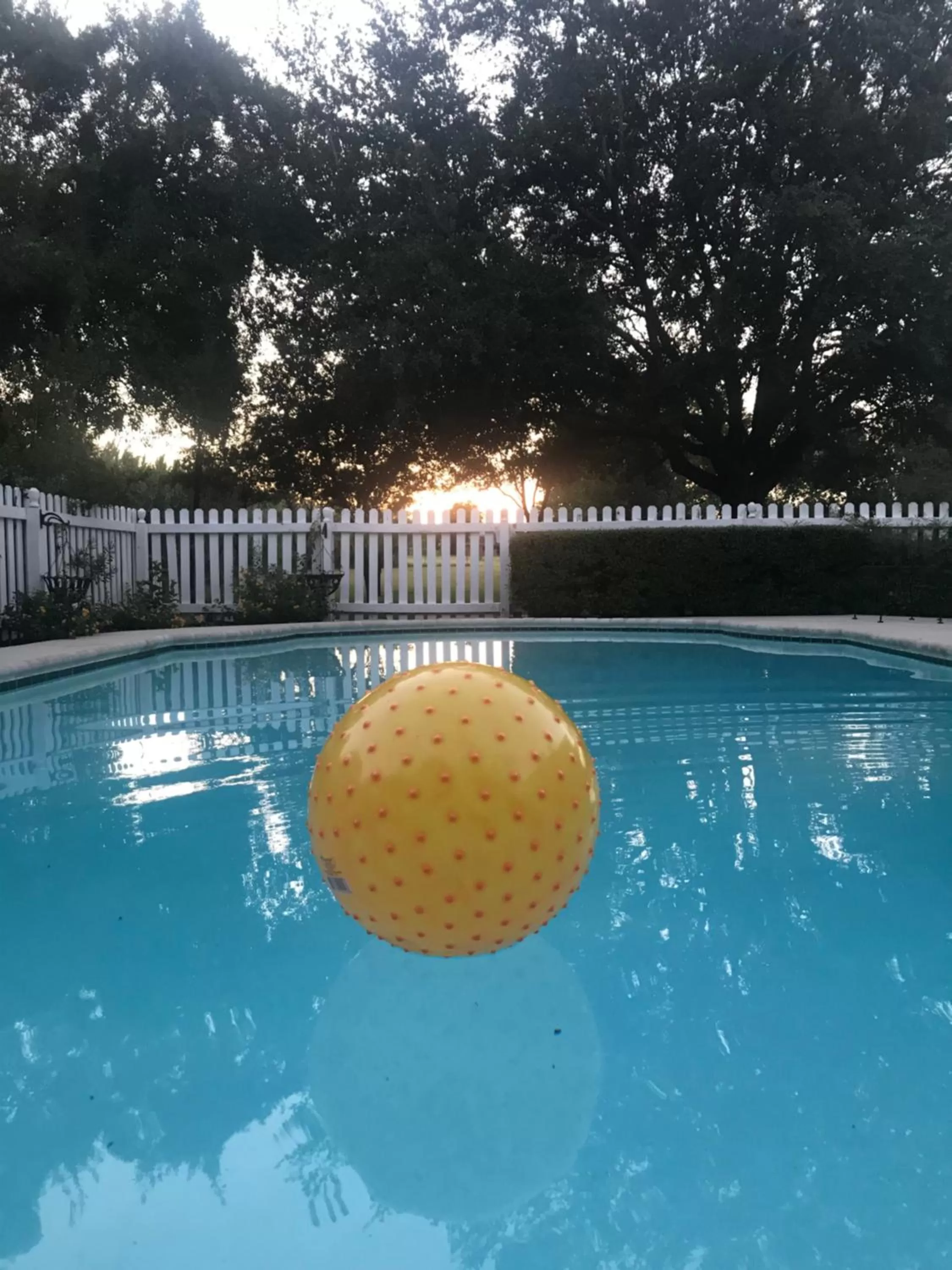 Swimming pool in The Plantation House Boutique Inn