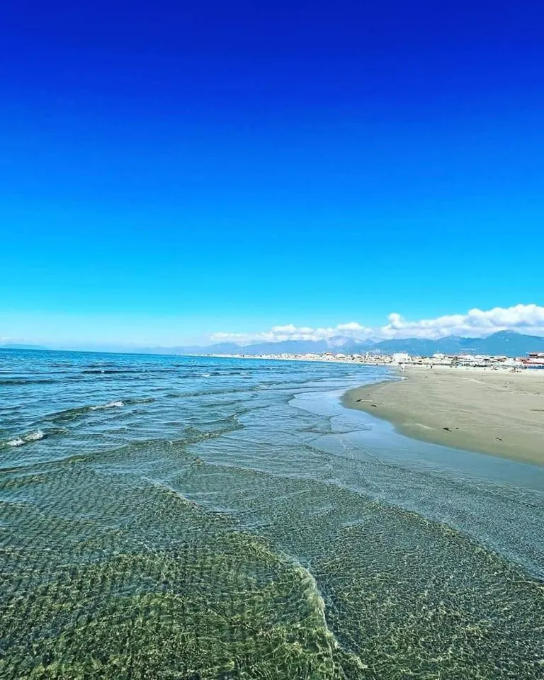 Beach in Hotel Pardini