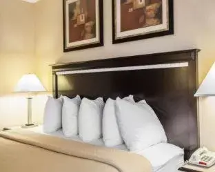 One Room Suite - Non Smoking in Quality Inn Aurora - Naperville Area One Room Suite - Non Smoking in Quality Inn Aurora - Naperville Area