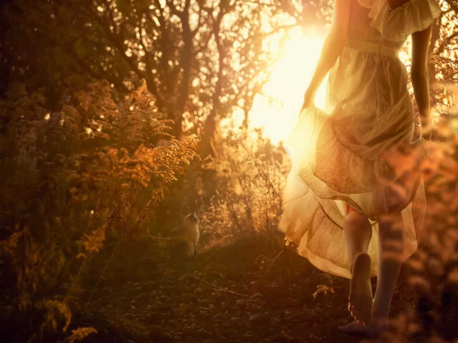 View (from property/room) in Romantic Boutique Hotel & Spa