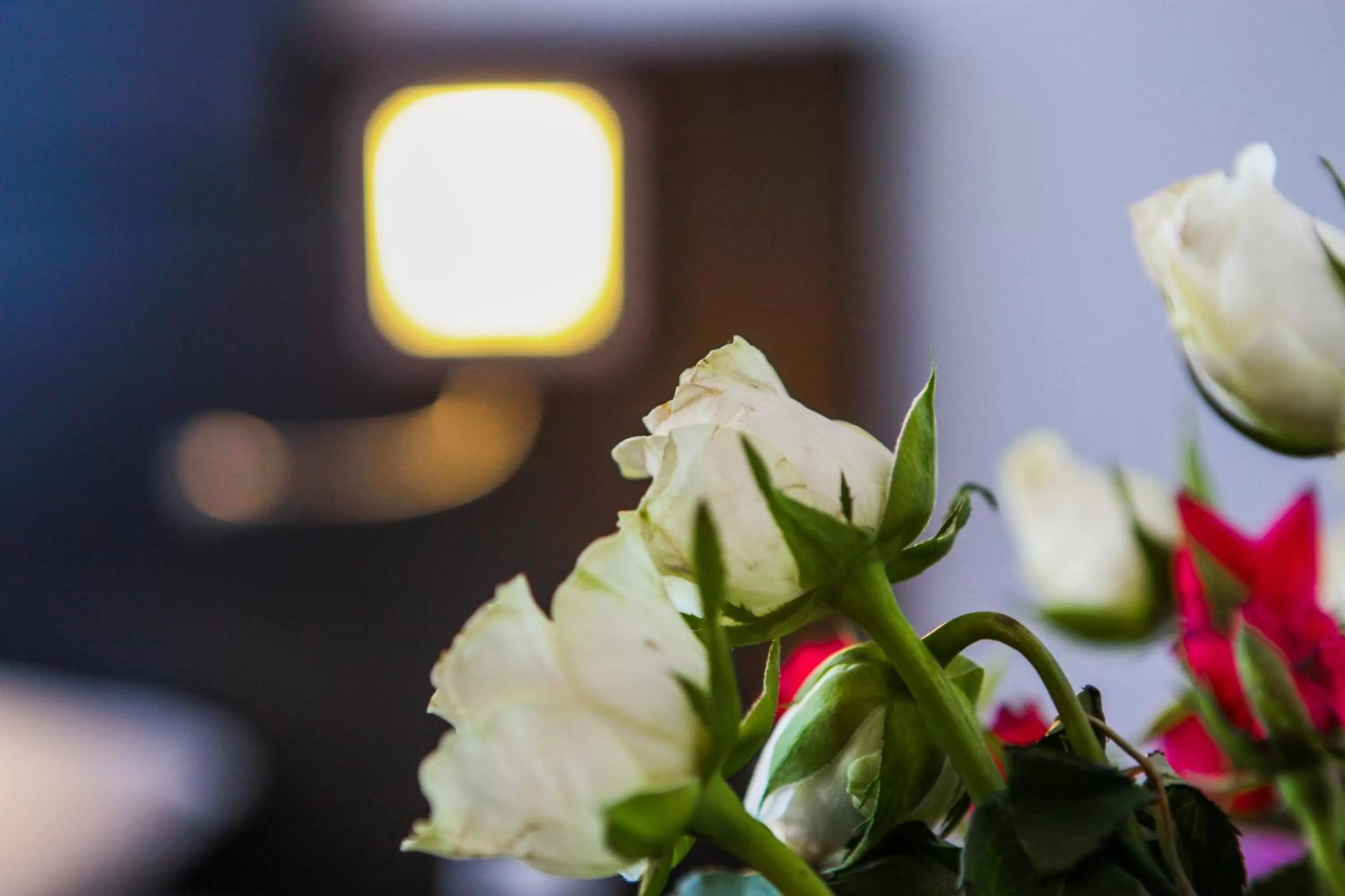 Decorative detail in Hotel De Looier