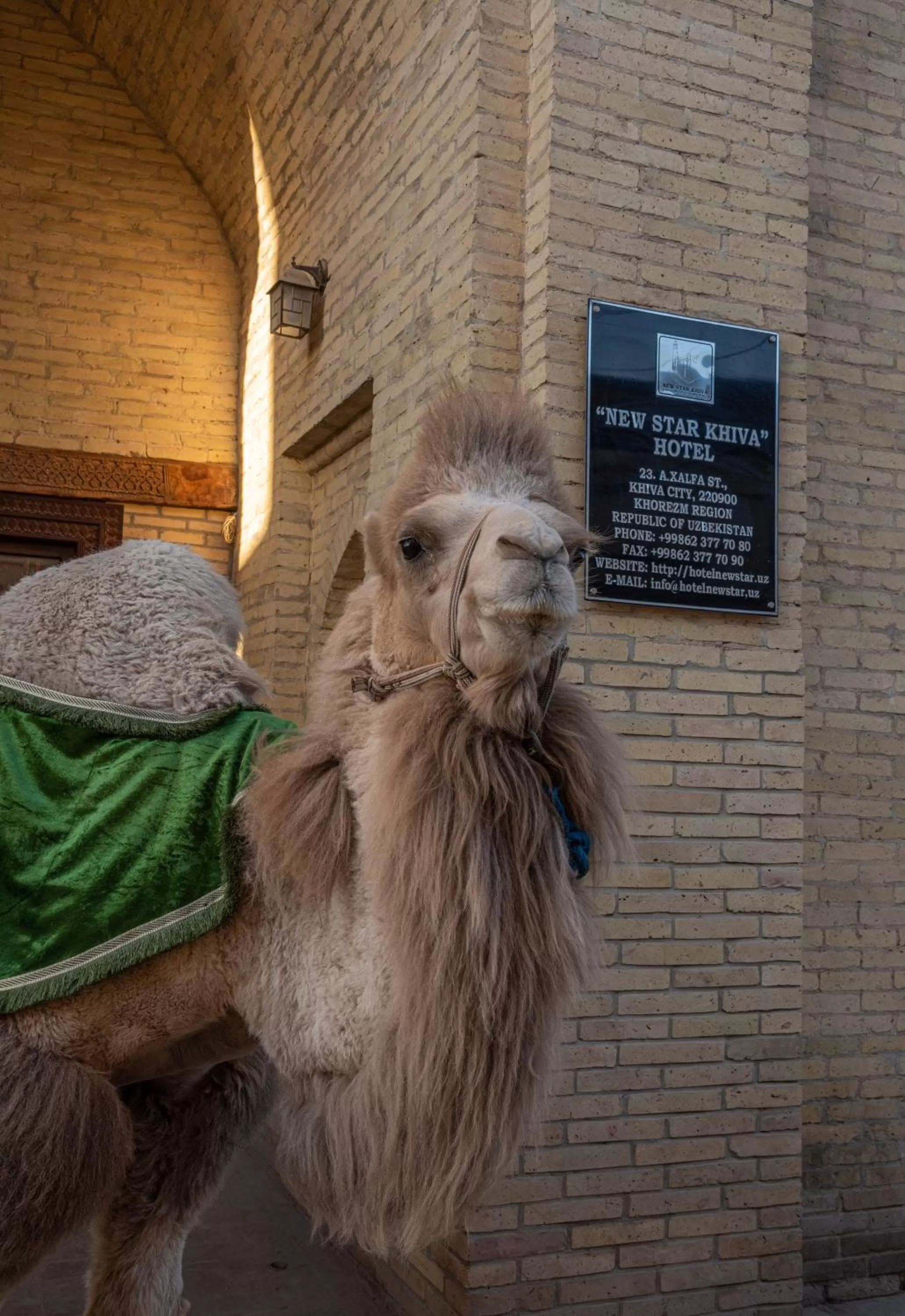 Facade/entrance in New Star Boutique hotel - madrasah Muhammad Mahram 1903