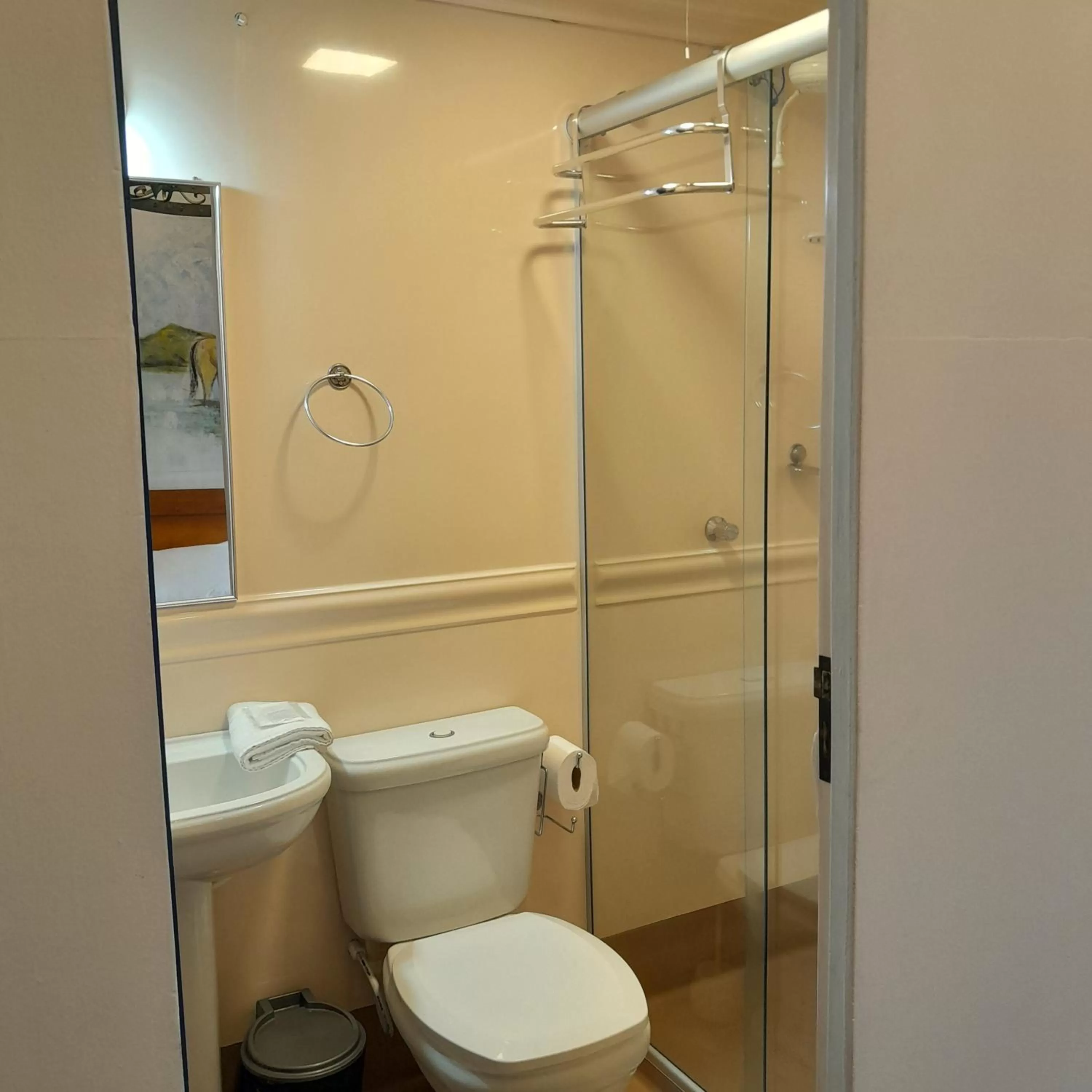 Shower, Bathroom in Hotel Barroco Mineiro