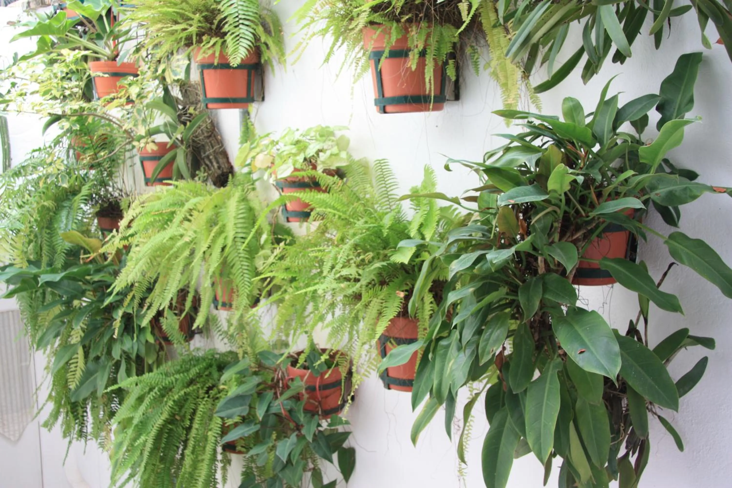 Garden in Amapas Apartments Puerto Vallarta