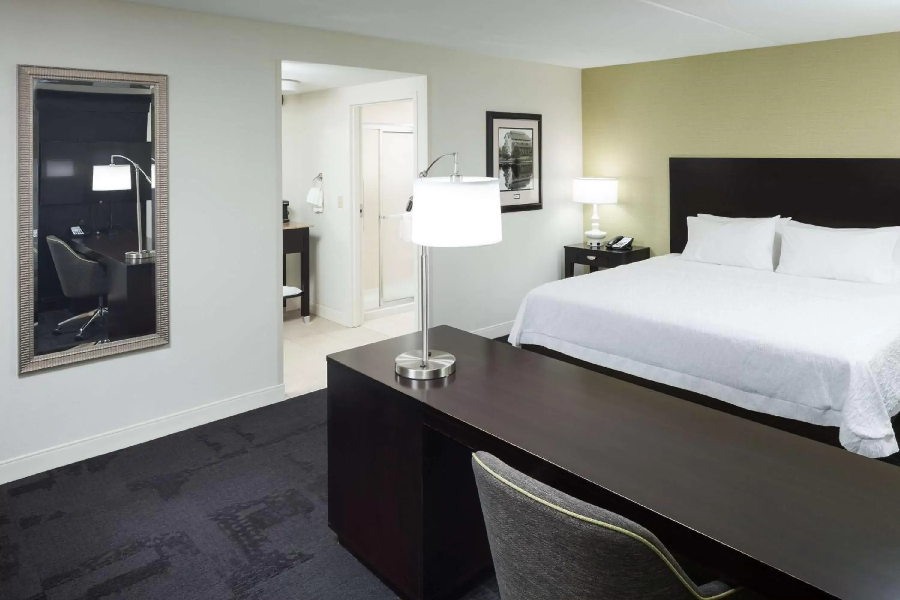 King Studio with Shower in Hampton Inn & Suites Gainesville Downtown King Studio with Shower in Hampton Inn & Suites Gainesville Downtown