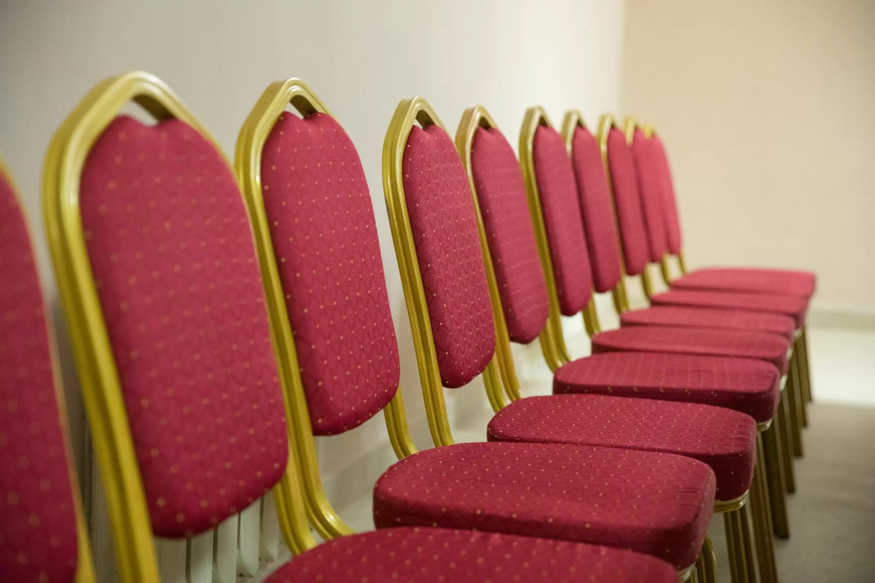 Meeting/conference room in Stella Hotel Tashkent